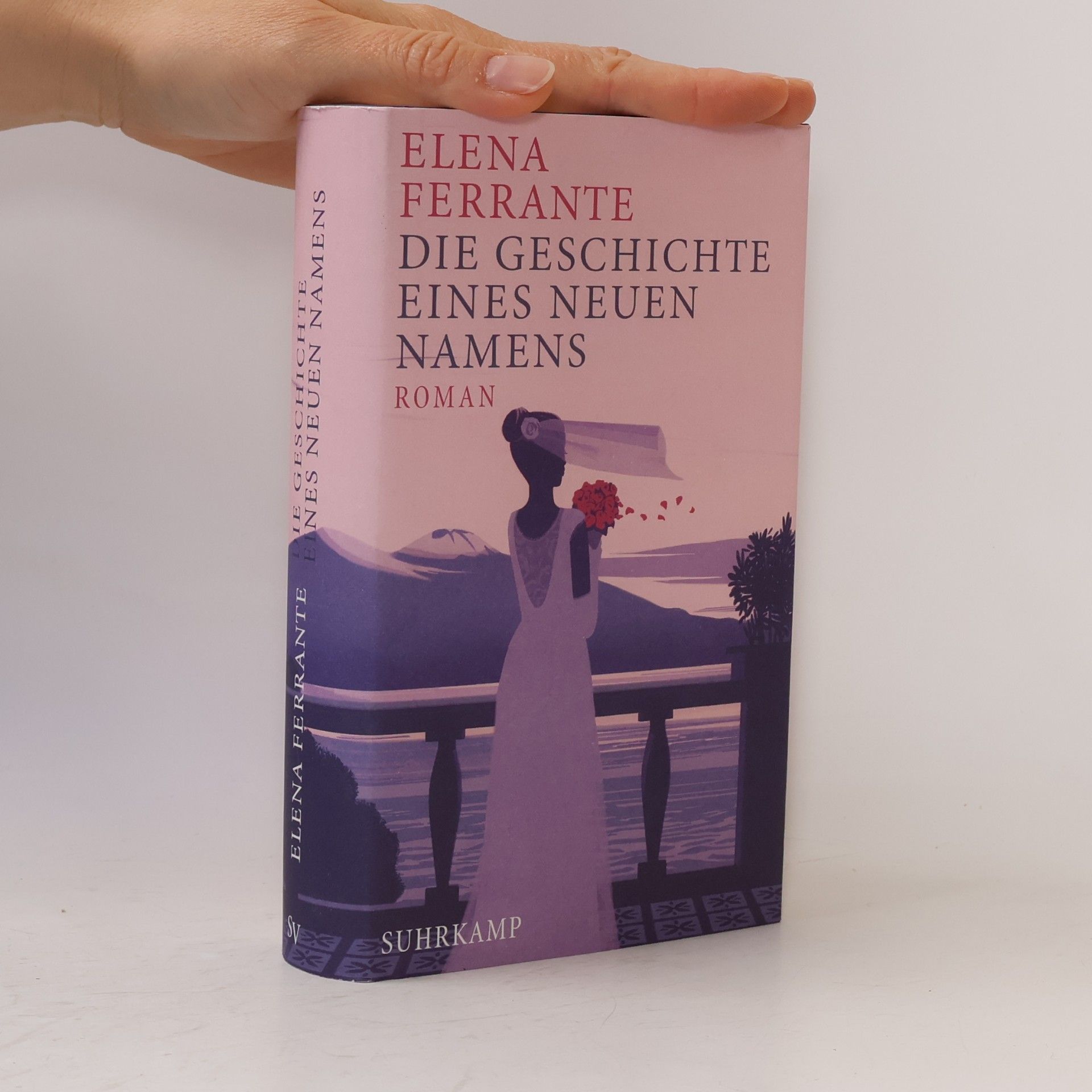 Elena Ferrante Die Geschichte eines neuen Namens: Jugendjahre