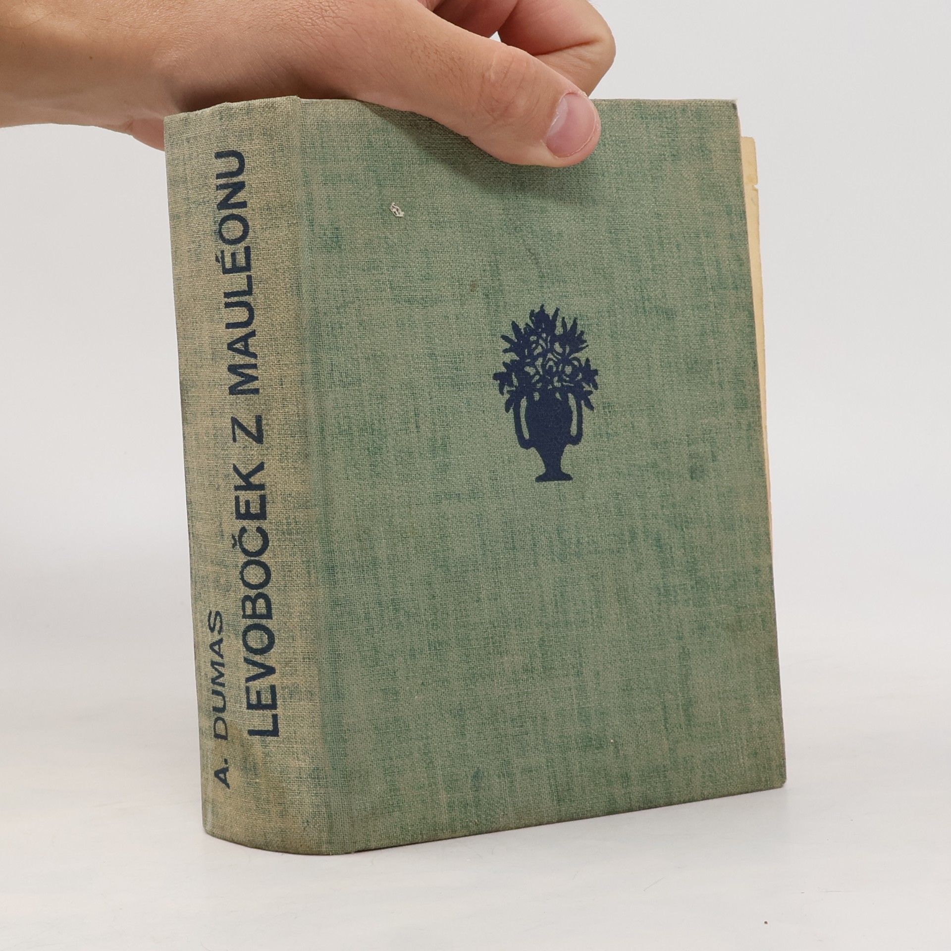 Alexandre Dumas Levoboček z Mauléonu I.