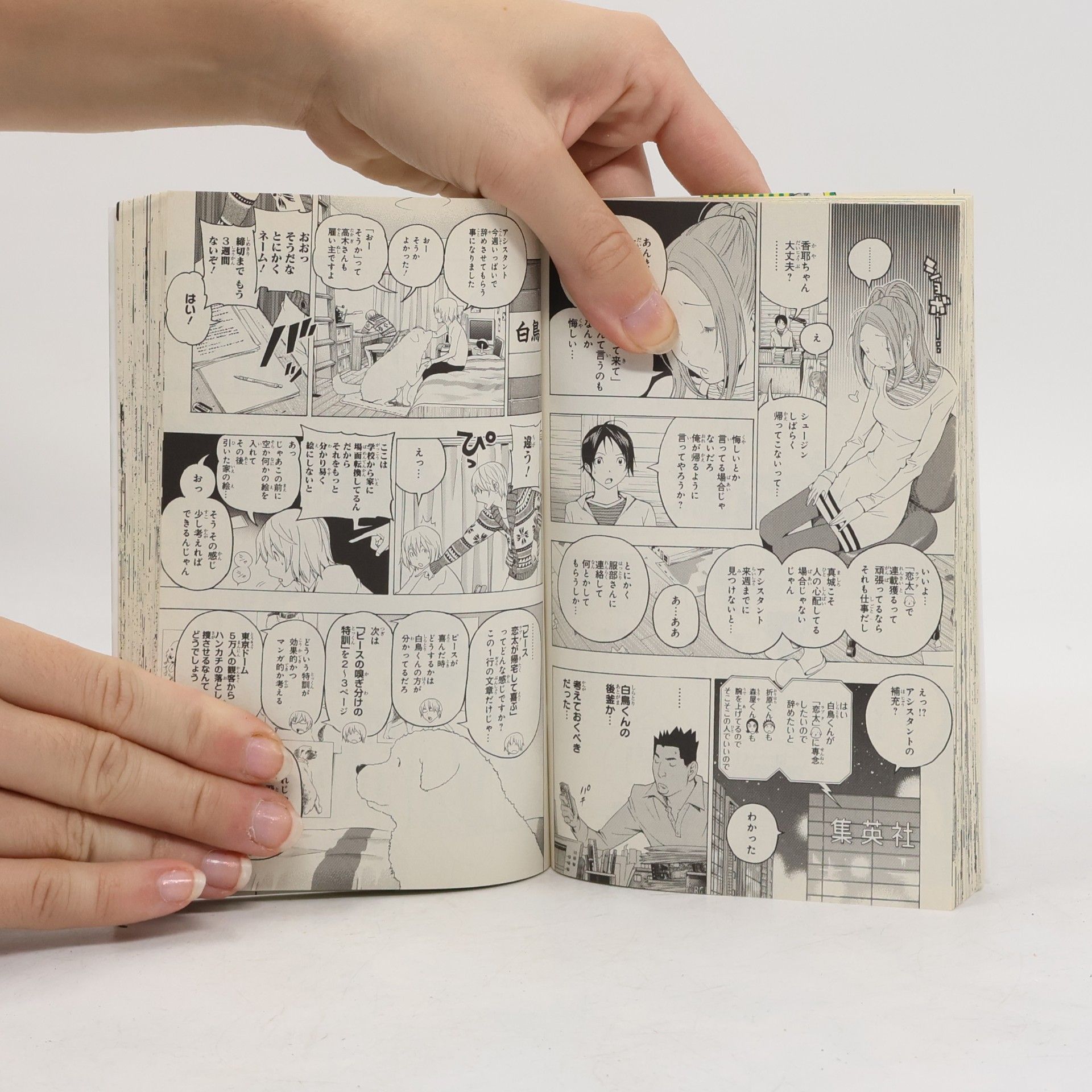 Tsugumi Ohba バクマン。 13