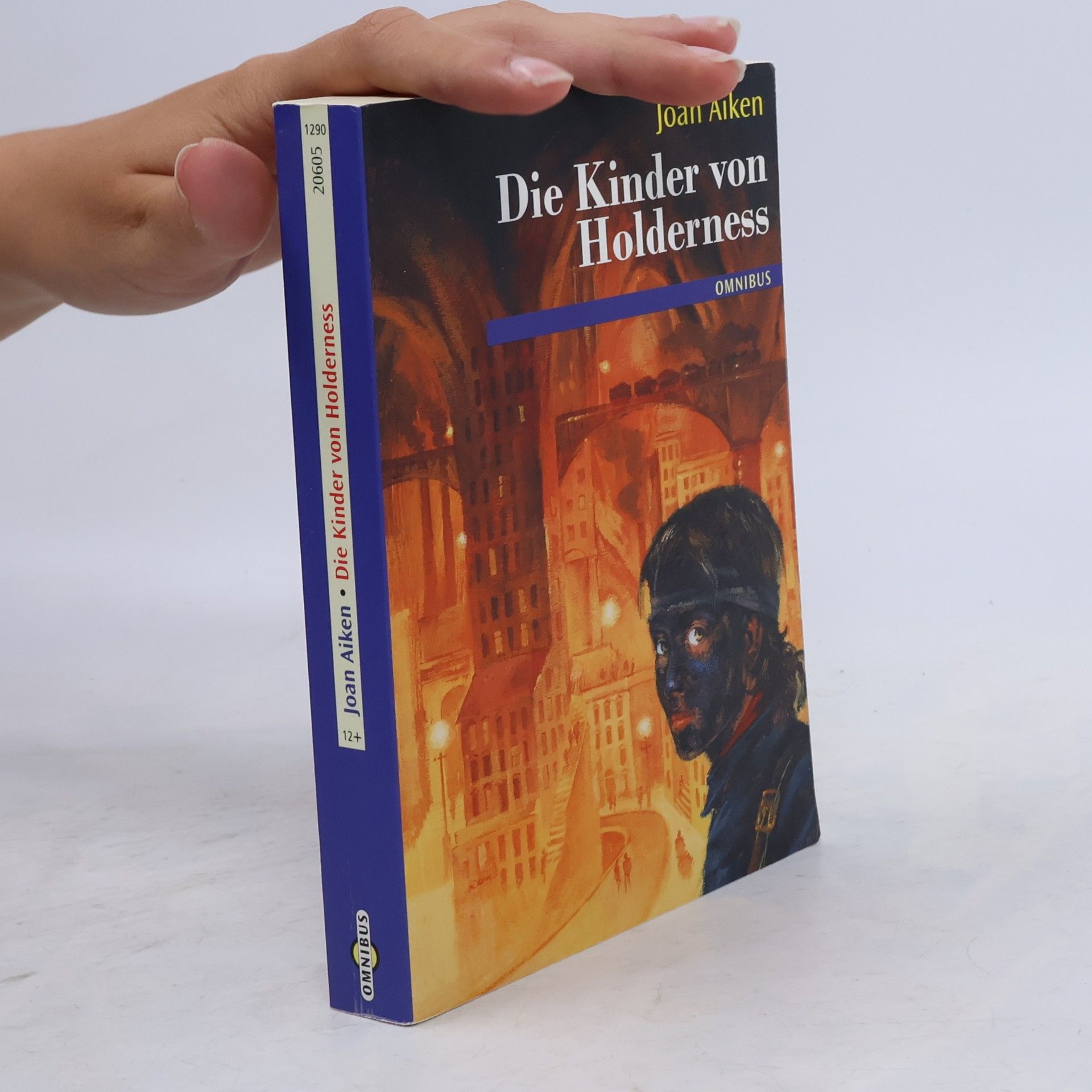 Joan Aiken Die Kinder von Holderness. Aus d. Engl. v. Irmela Bender