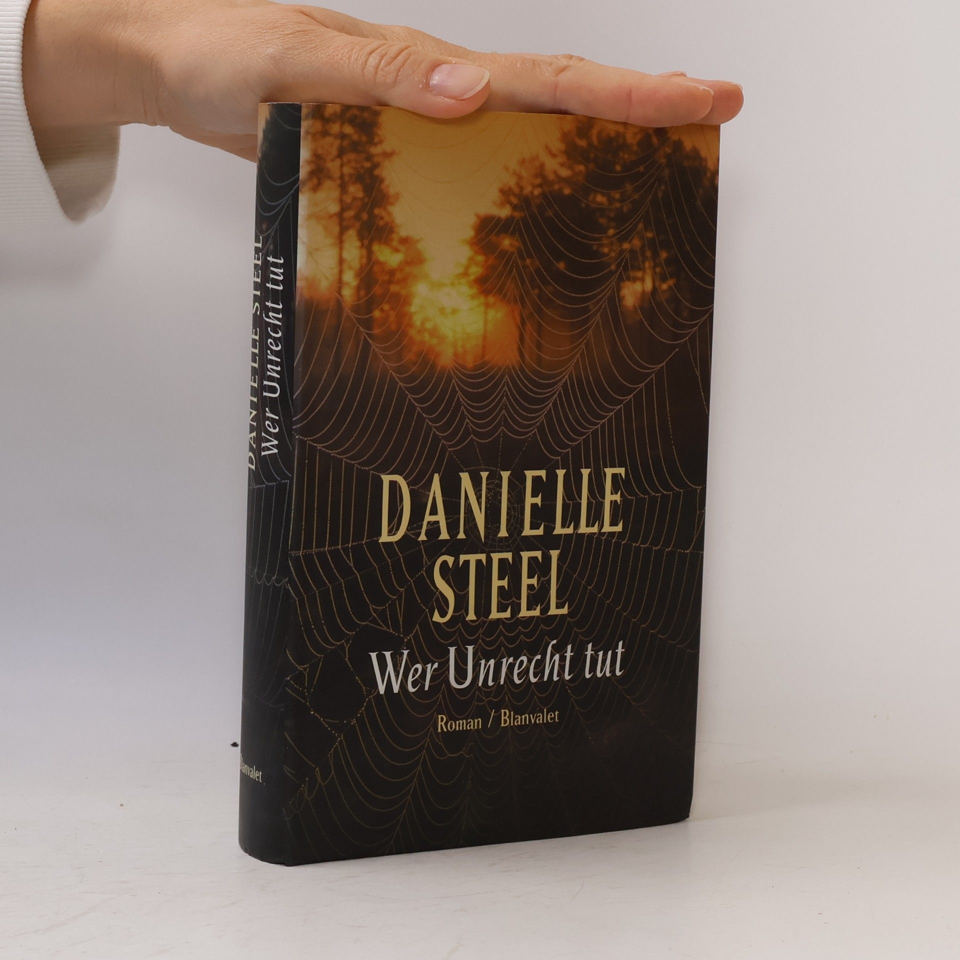 Danielle Steelová Wer Unrecht tut