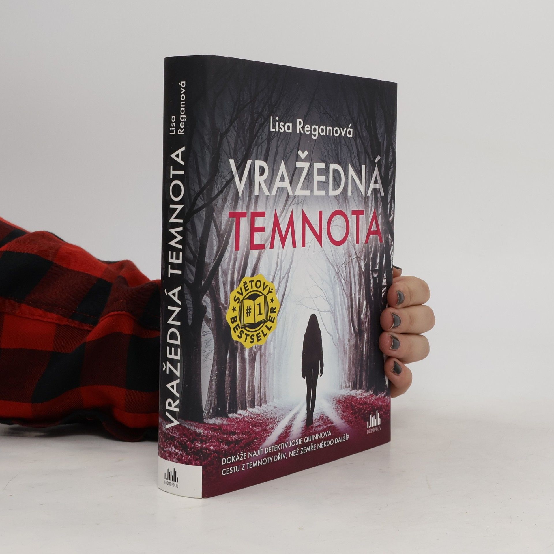 Lisa Regan Vražedná temnota