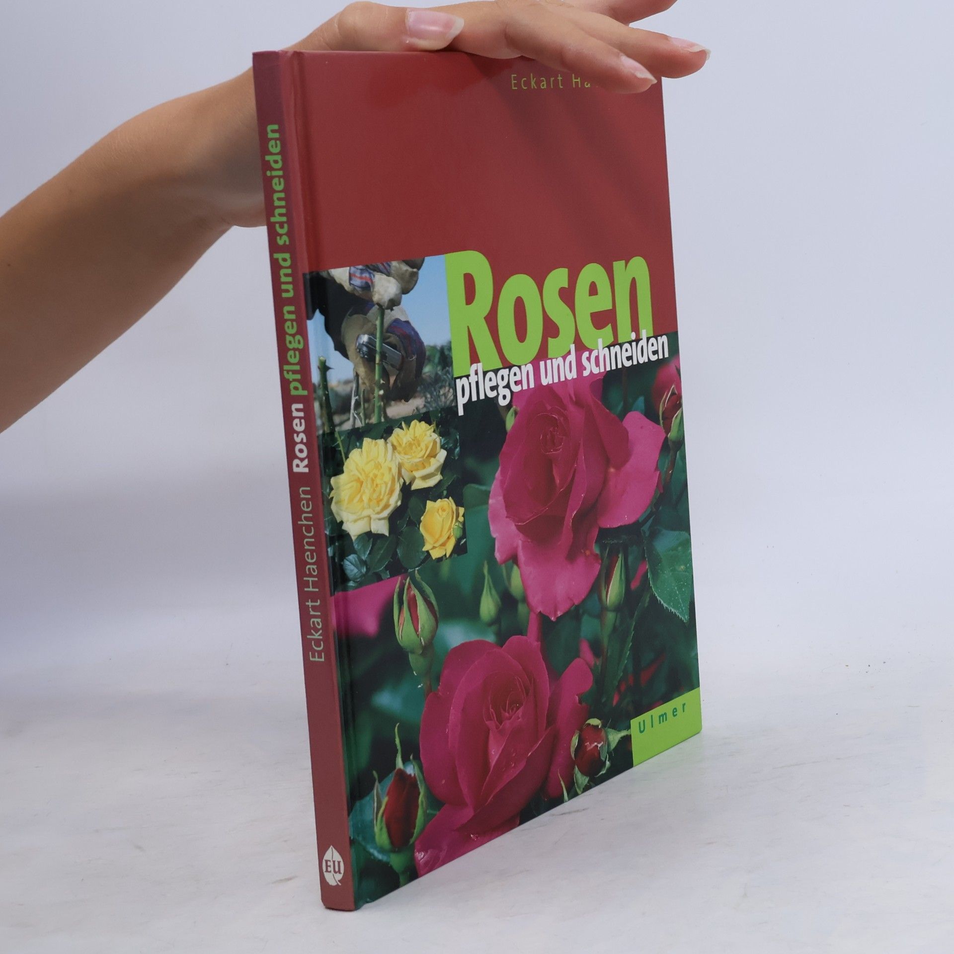 Eckart Haenchen Rosen