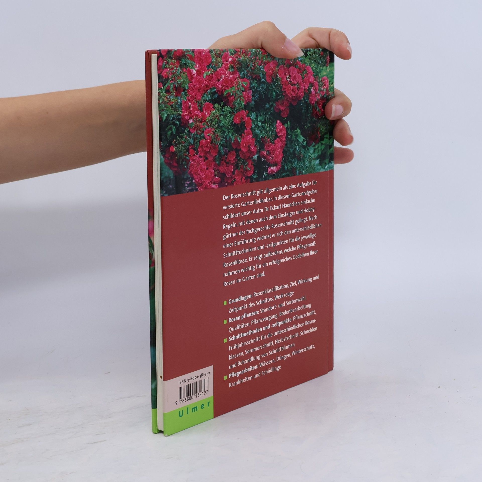 Eckart Haenchen Rosen