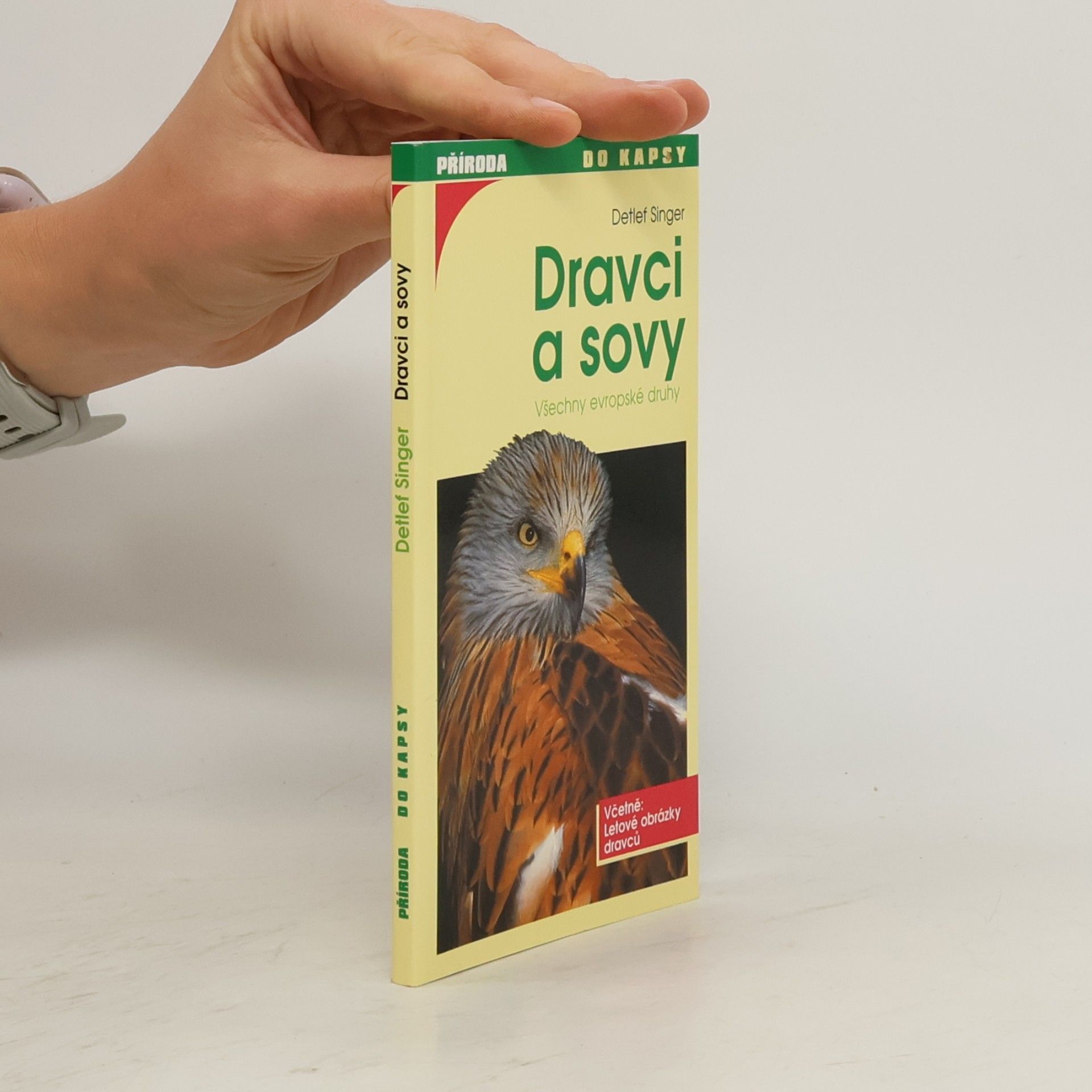 Detlef Singer Dravci a sovy