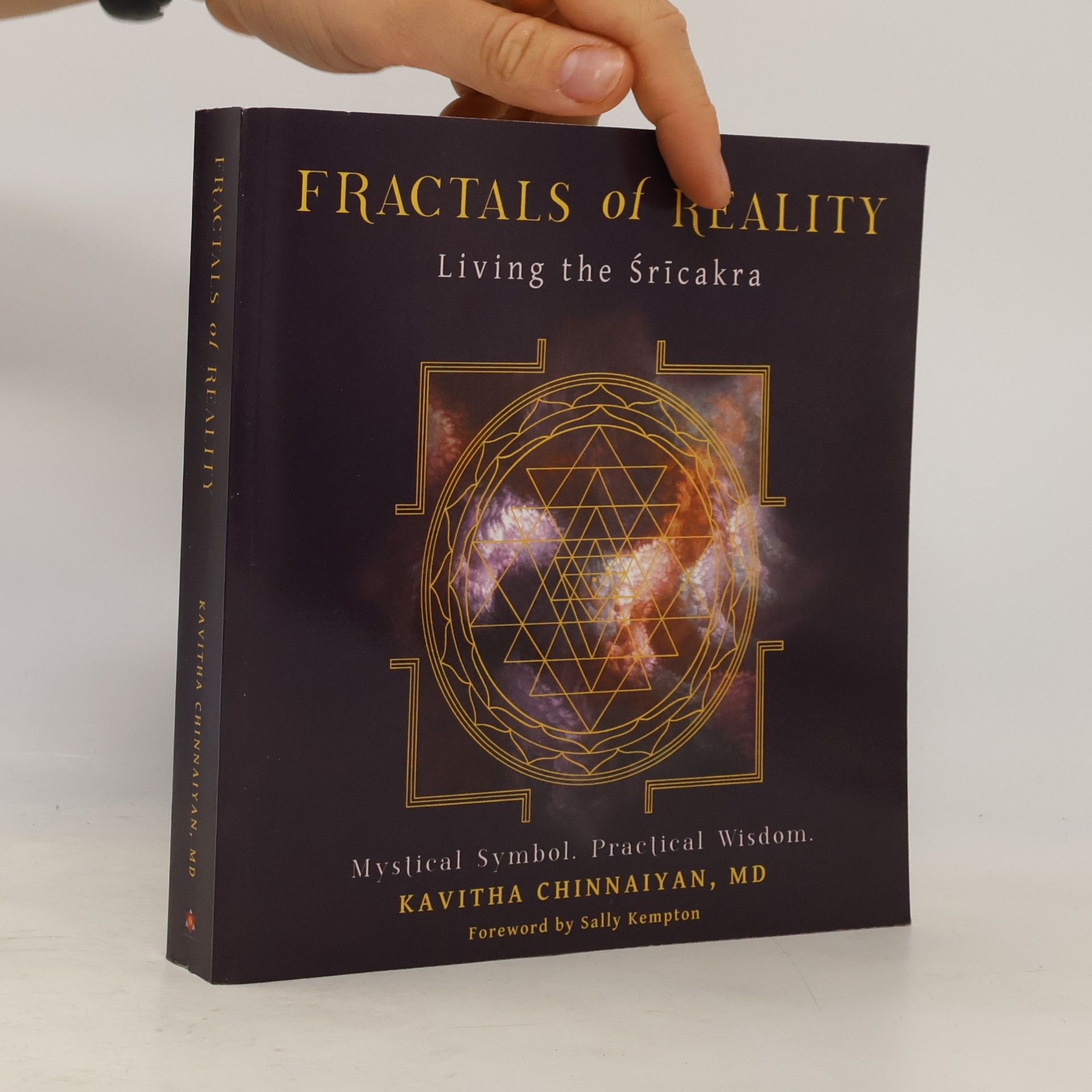 Fractals of Reality