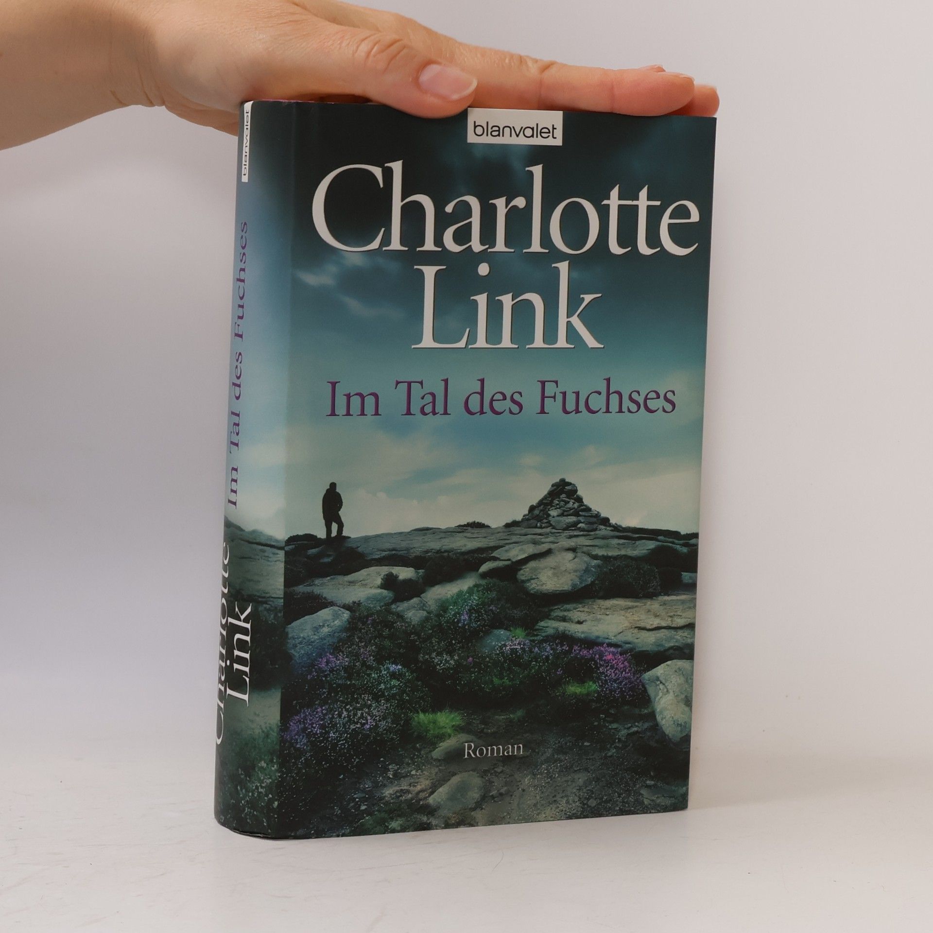 Charlotte Link Im Tal des Fuchses