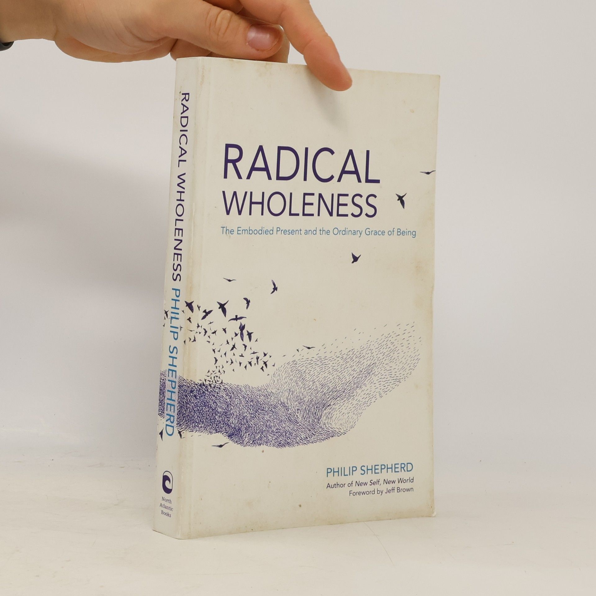 Philip Shepherd Radical Wholeness