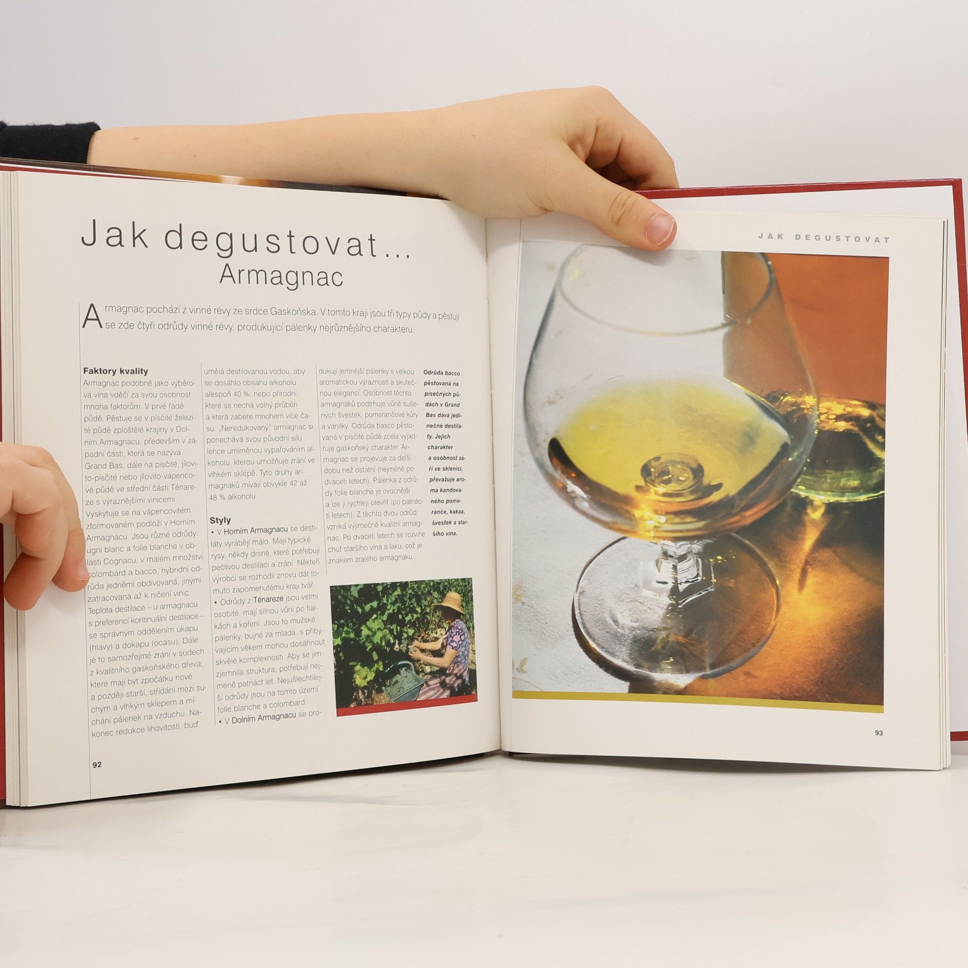 Pierre Casamayor Umění degustace