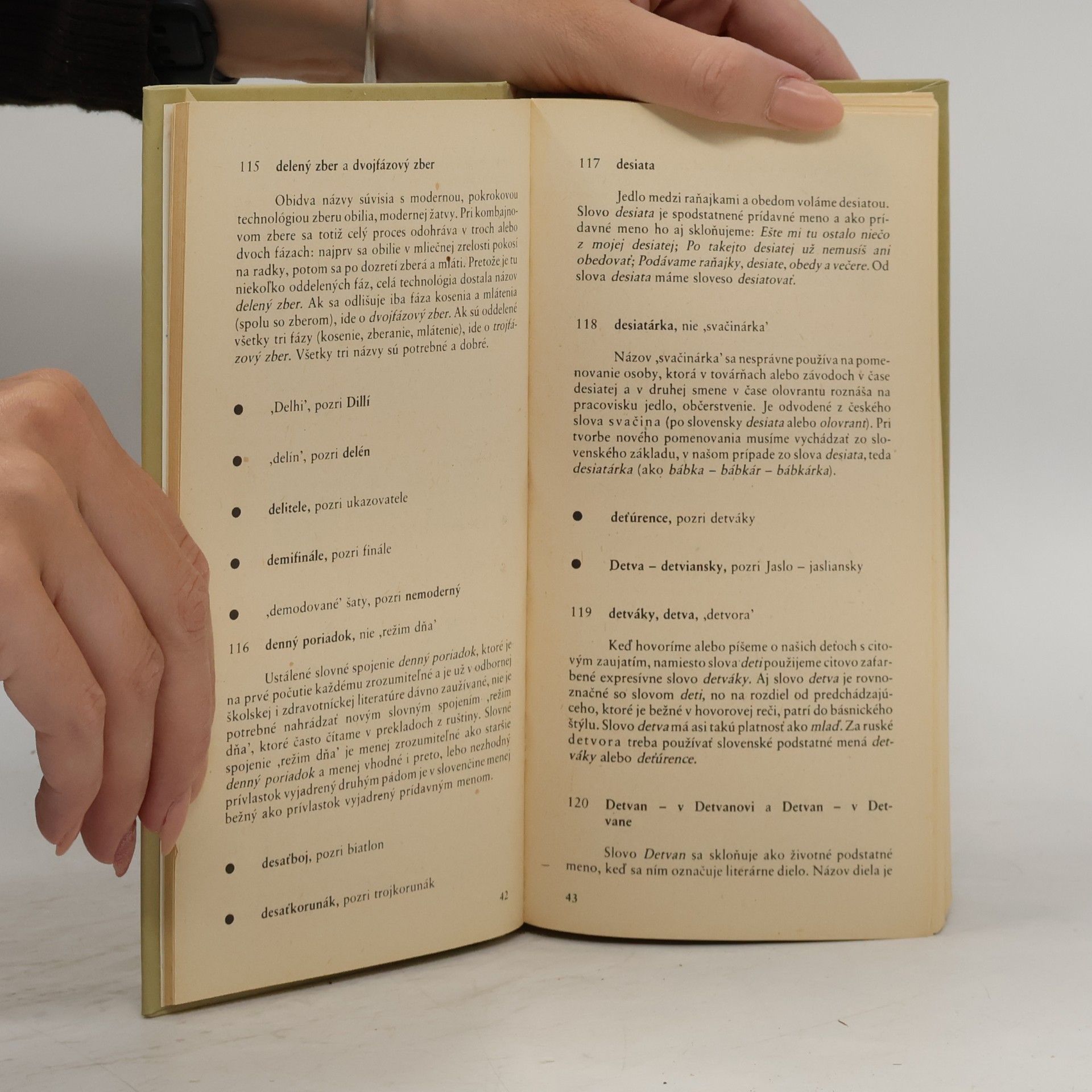 Autorenkollektiv 1000 poučení zo spisovnej slovenčiny