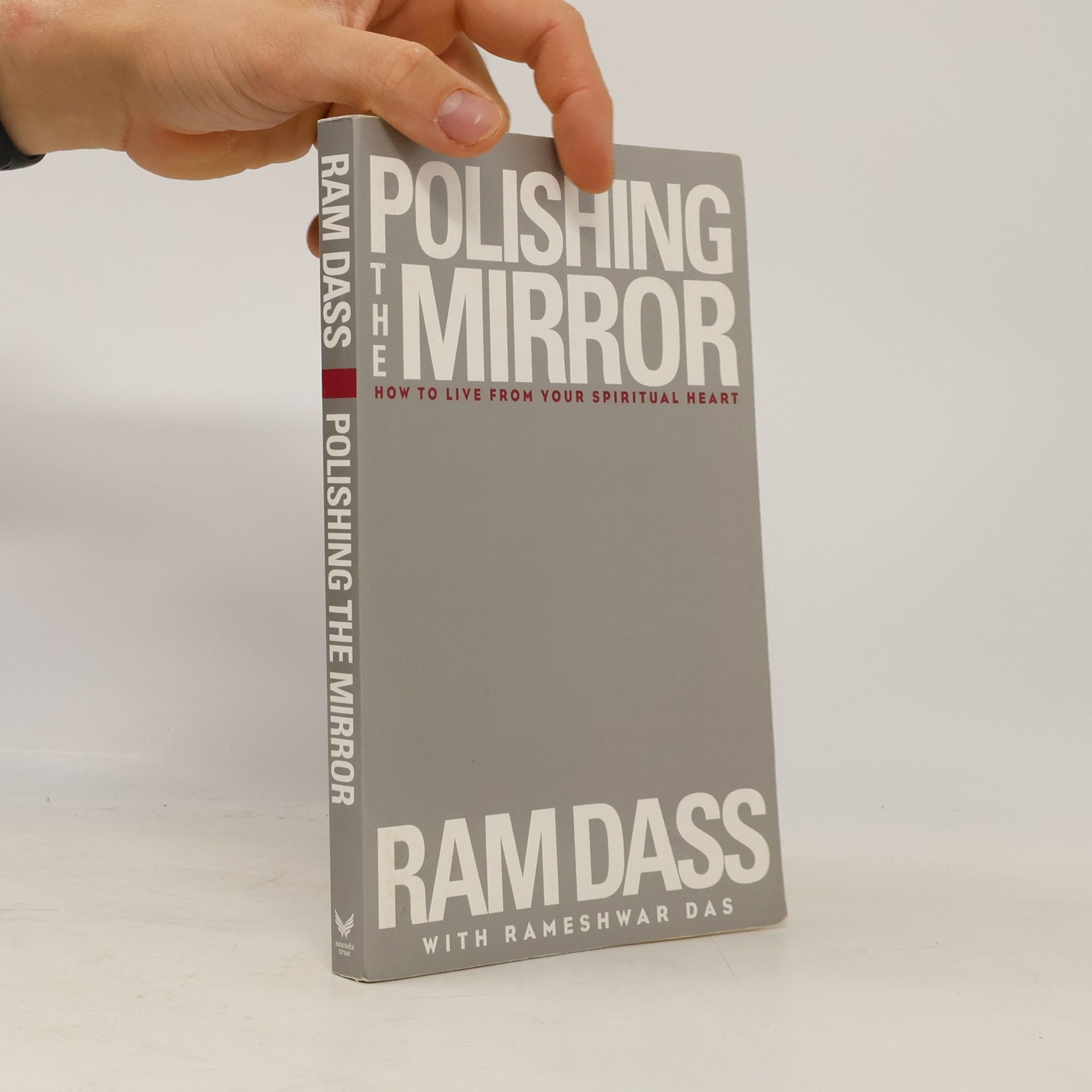 Rameshwar Das Polishing the Mirror