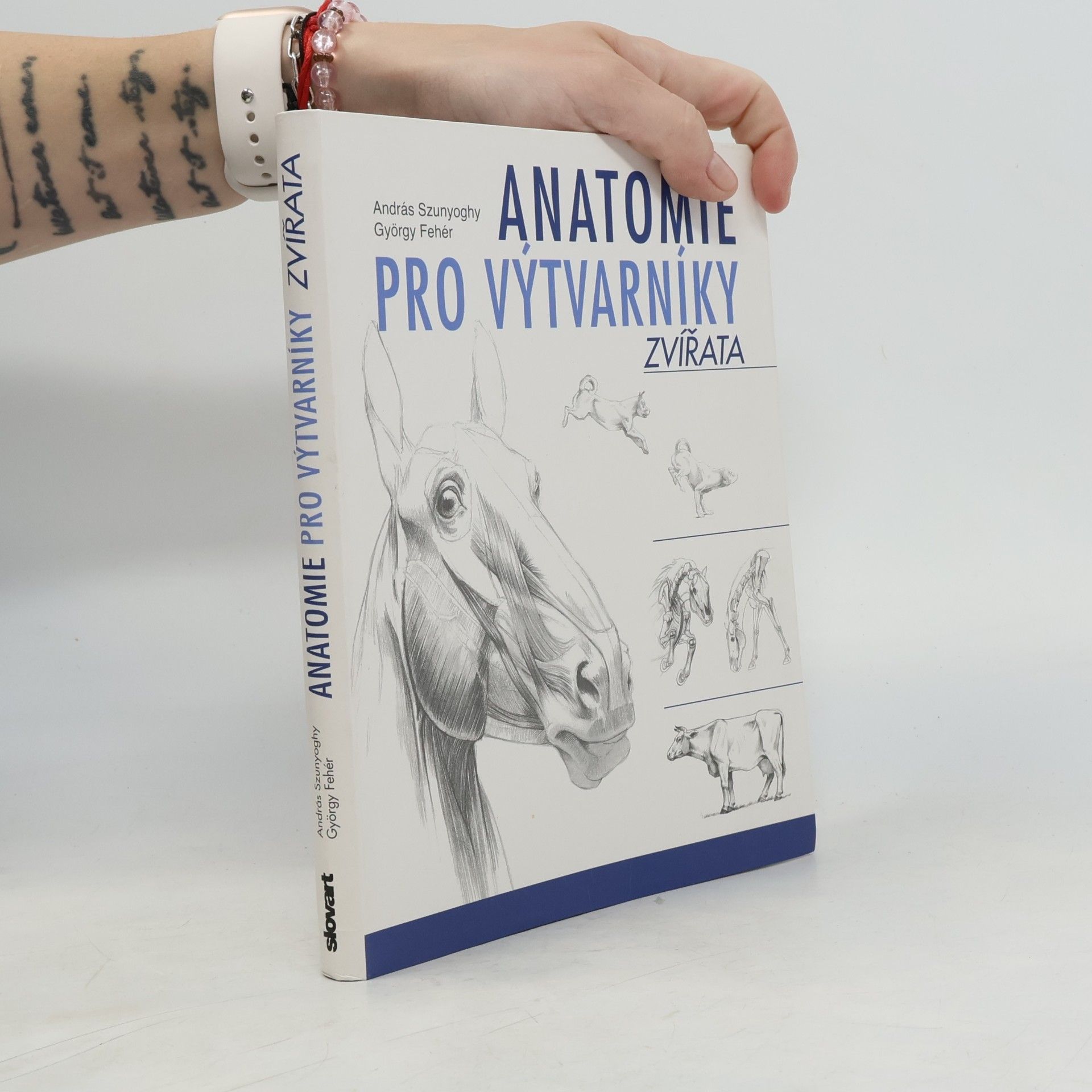 Anatomie pro výtvarníky - Zvířata