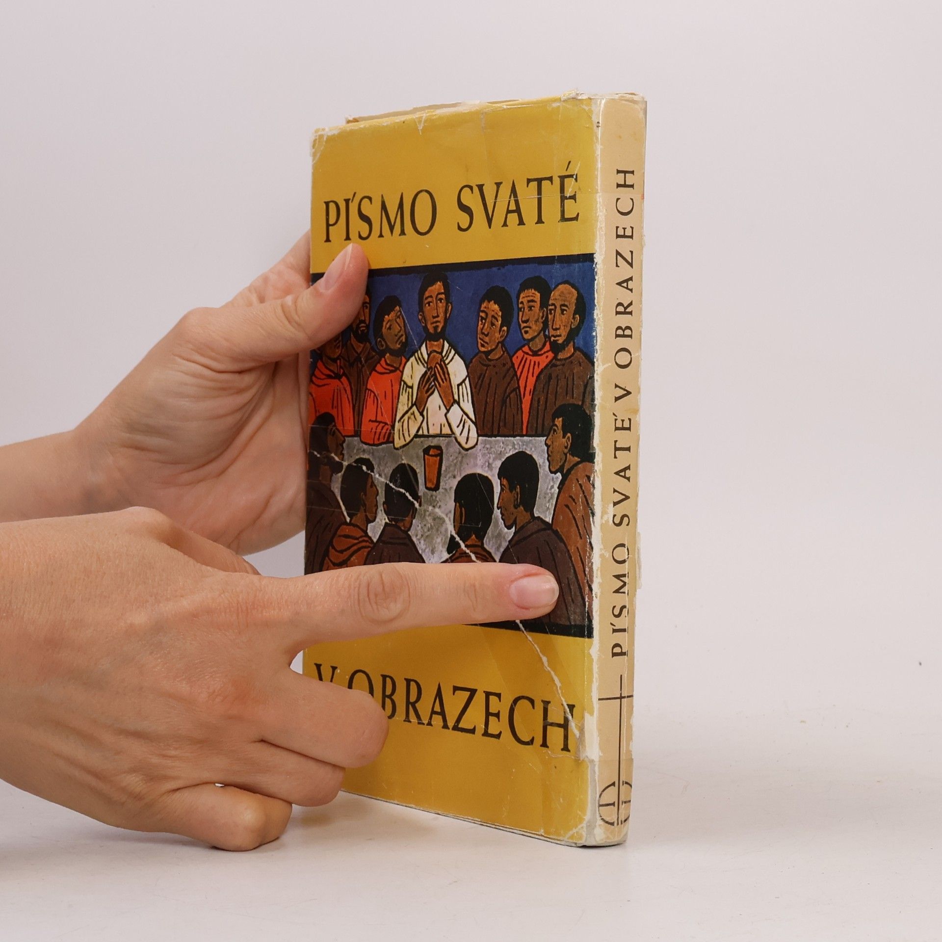kolektiv Písmo svaté v obrazech