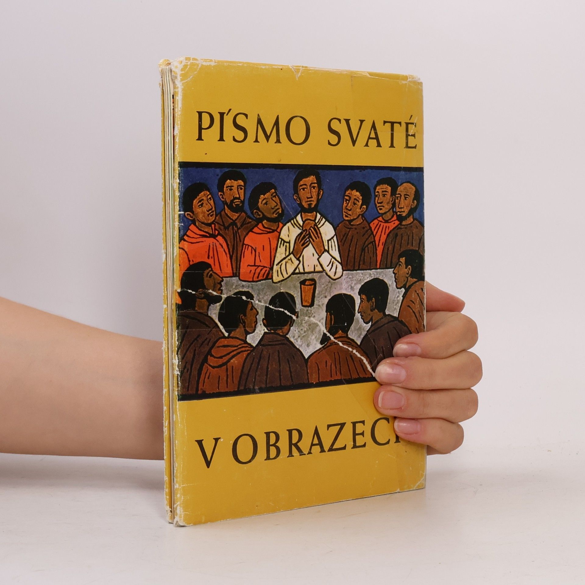 kolektiv Písmo svaté v obrazech