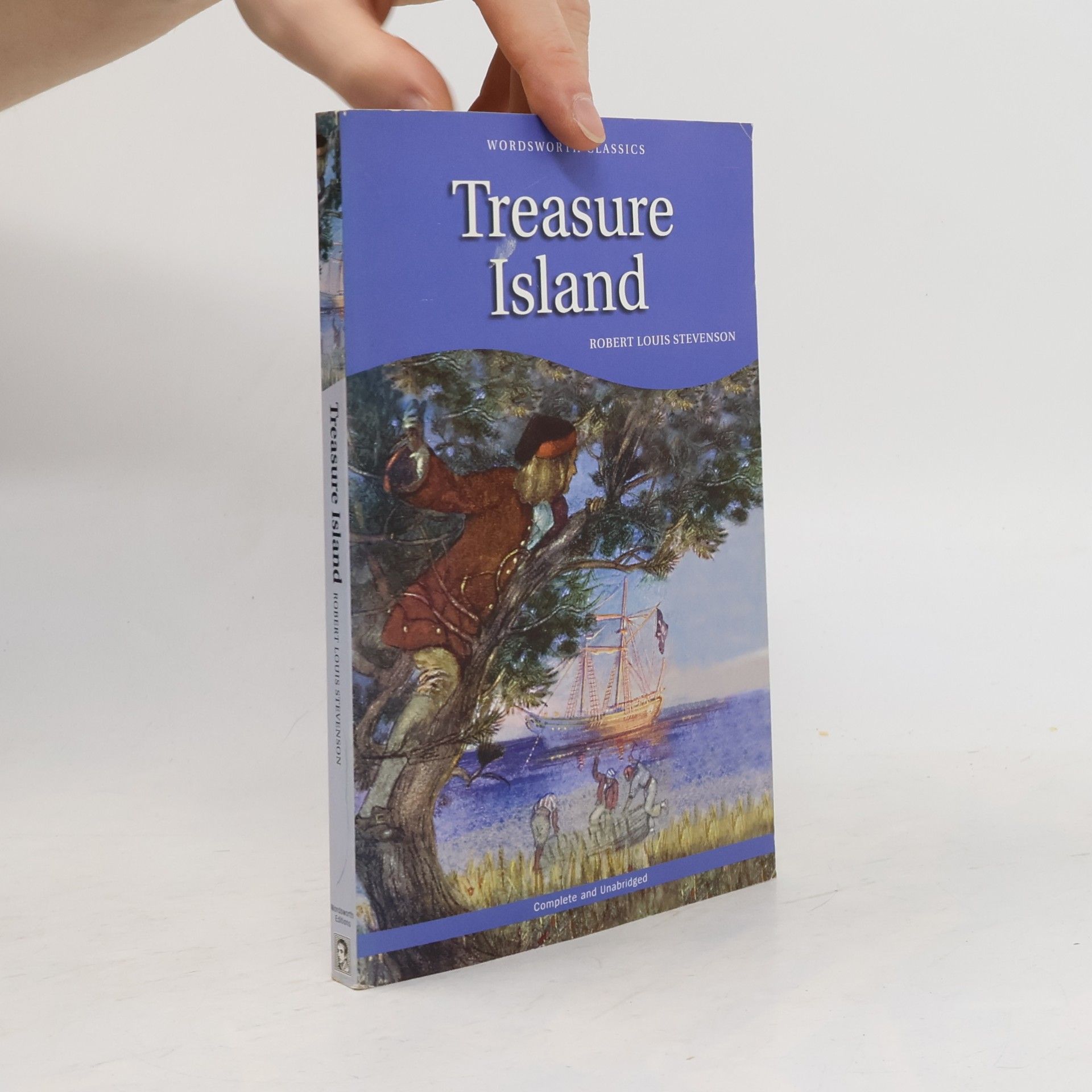 Robert Louis Stevenson Treasure island