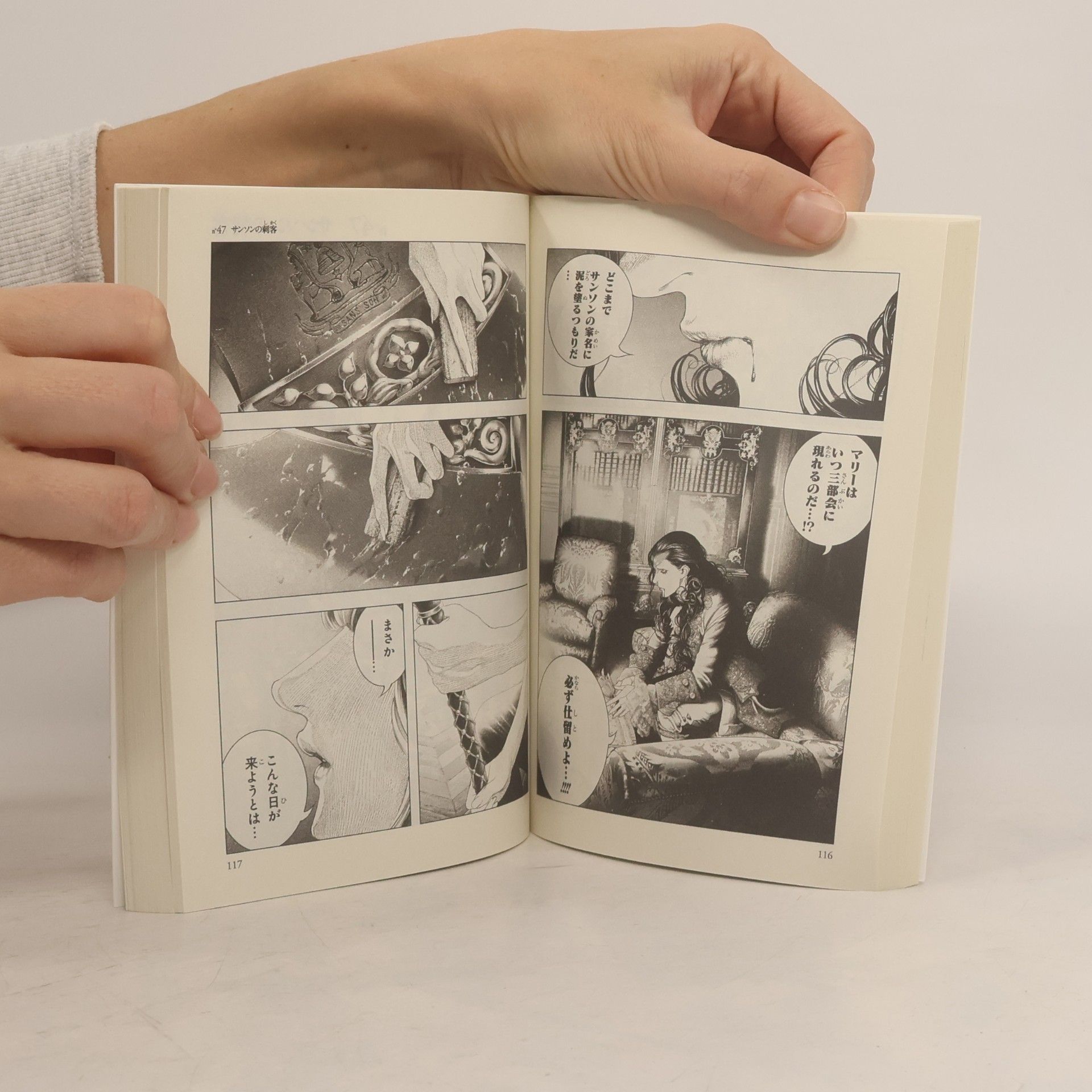 Shin'ichi Sakamoto イノサンルージュ