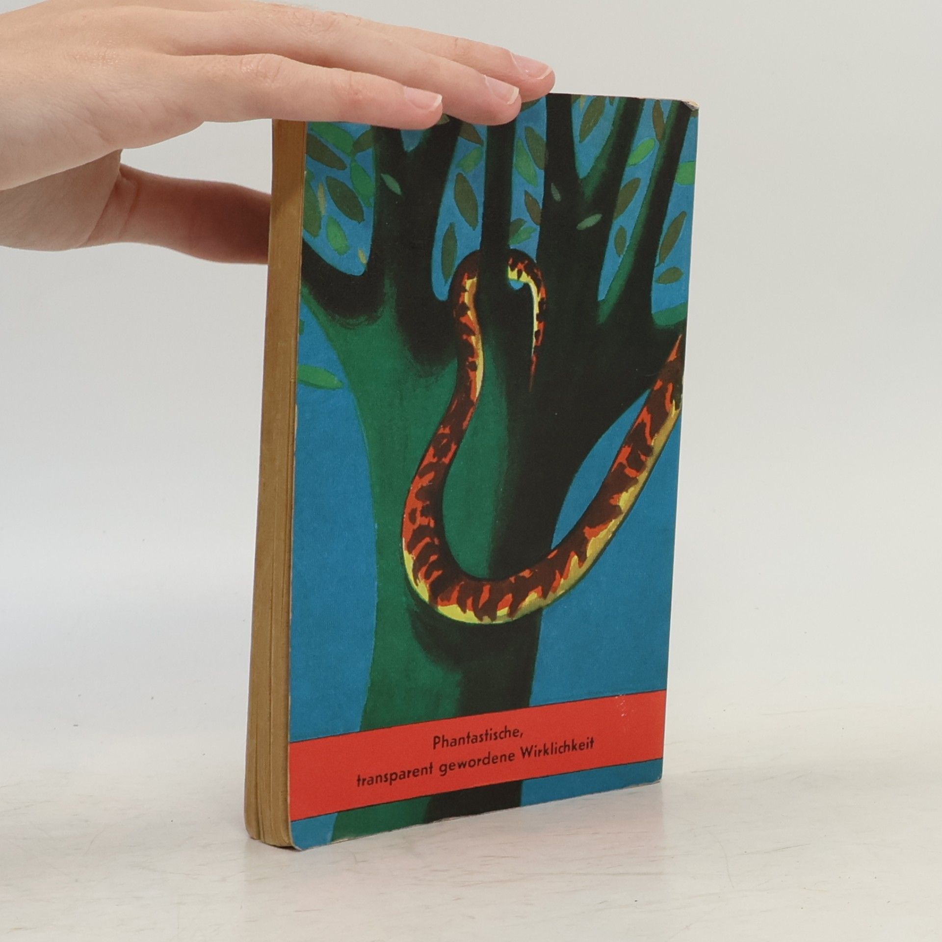 Rudyard Kipling Das Dschungel Buch