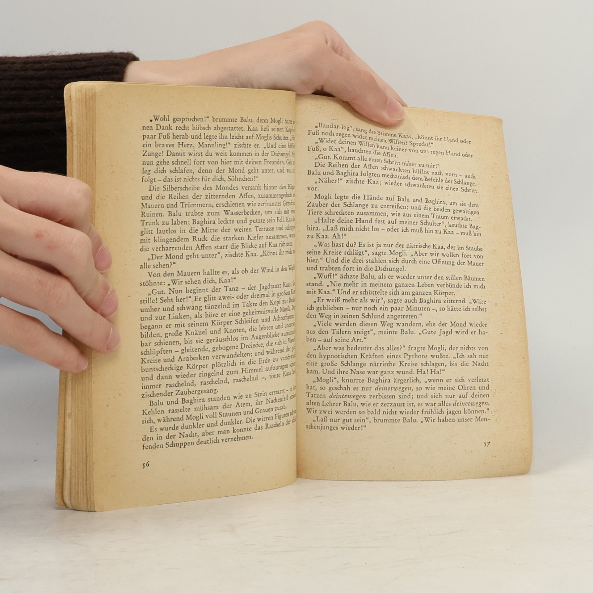 Rudyard Kipling Das Dschungel Buch