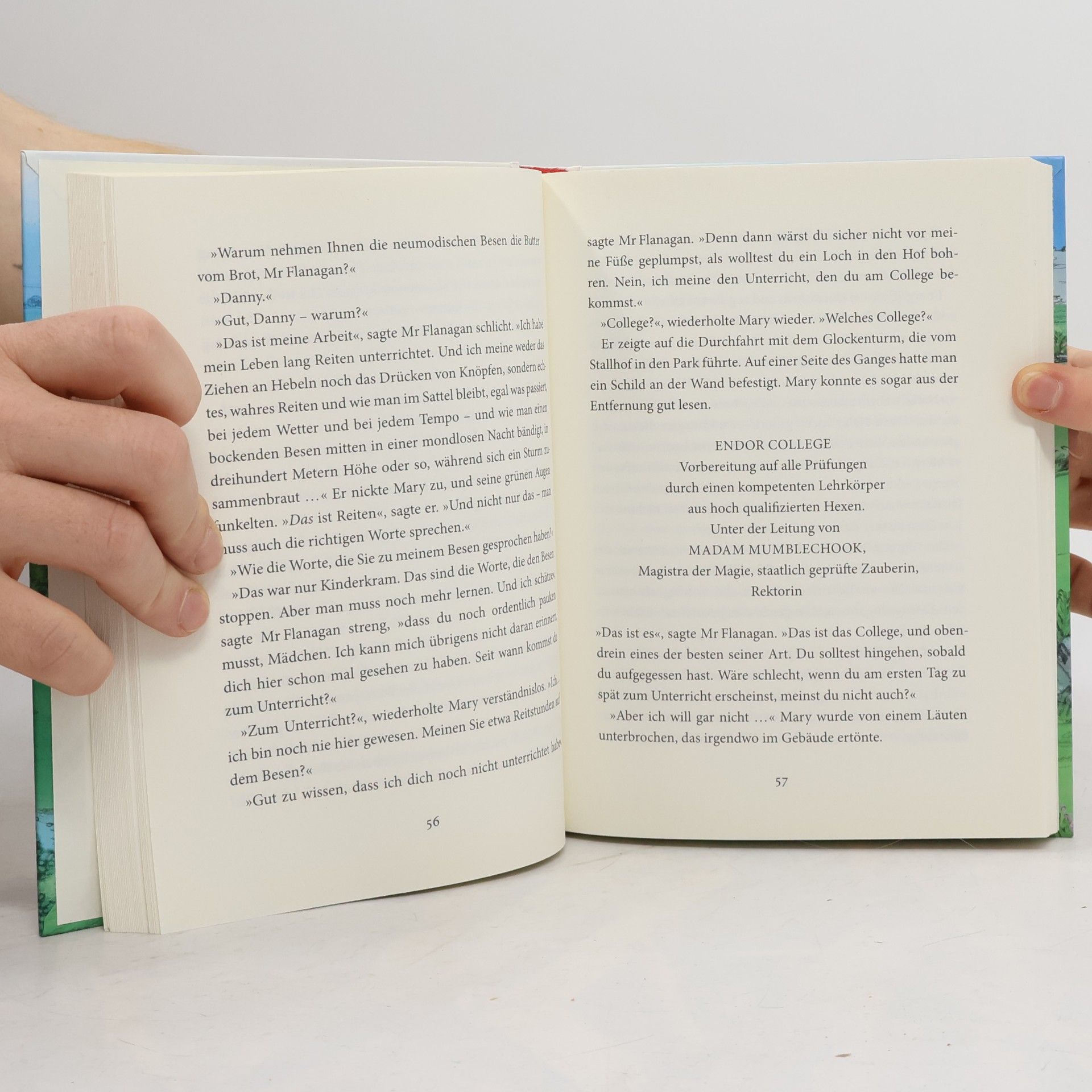 Mary Stewart Der verhexte Besen
