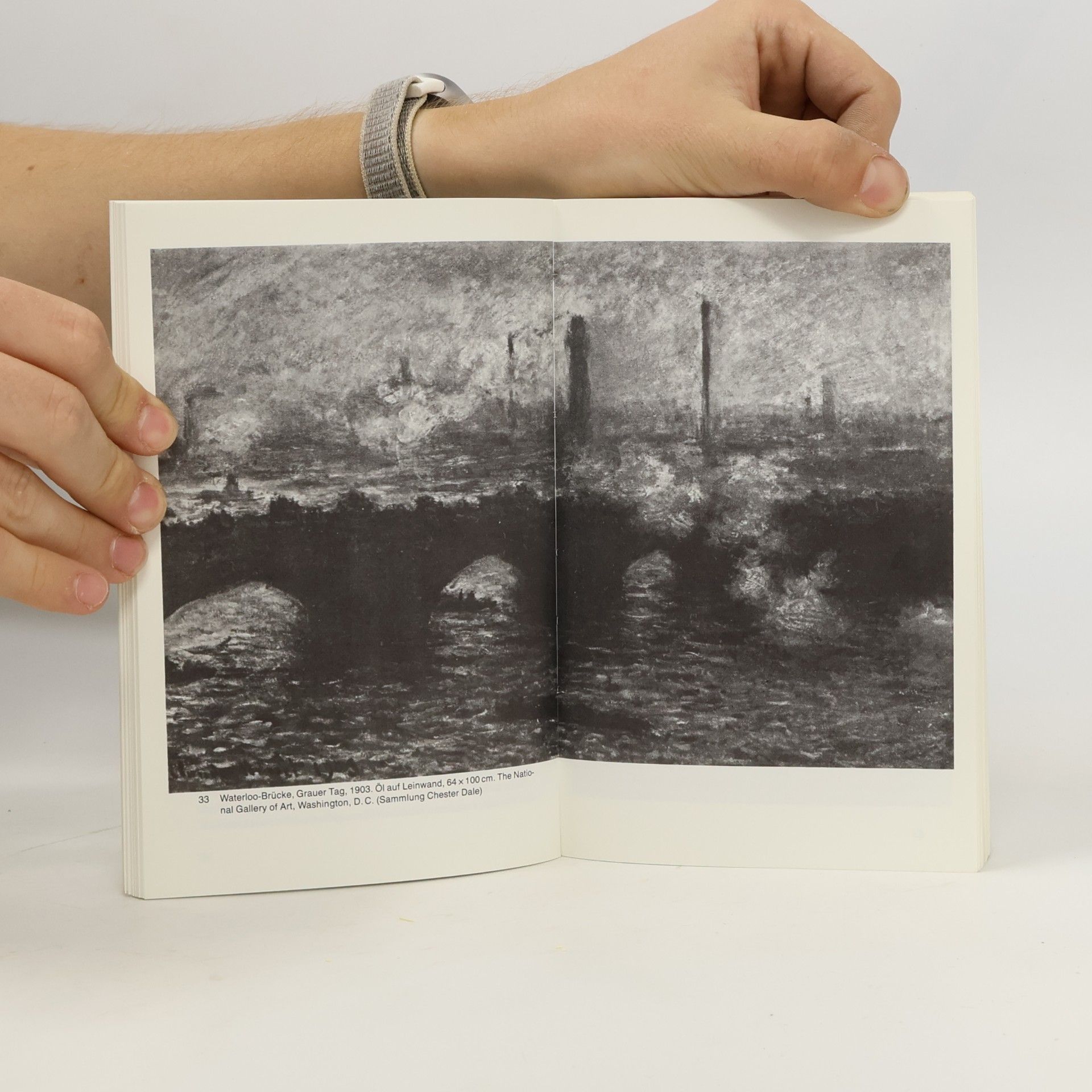 William Seitz DUMONT Taschenbücher - 239: Claude Monet