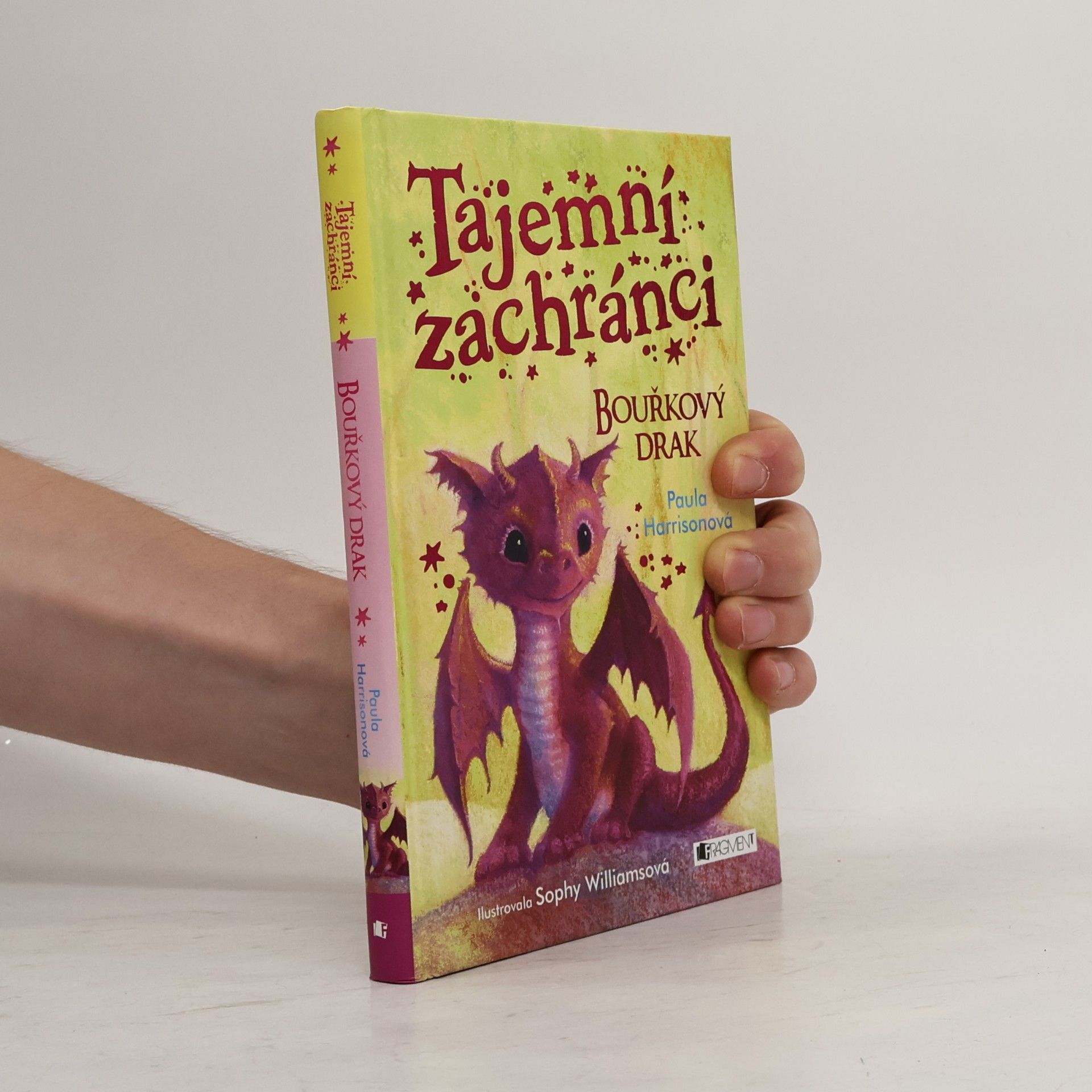Paula Harrison Tajemní zachránci - Bouřkový drak