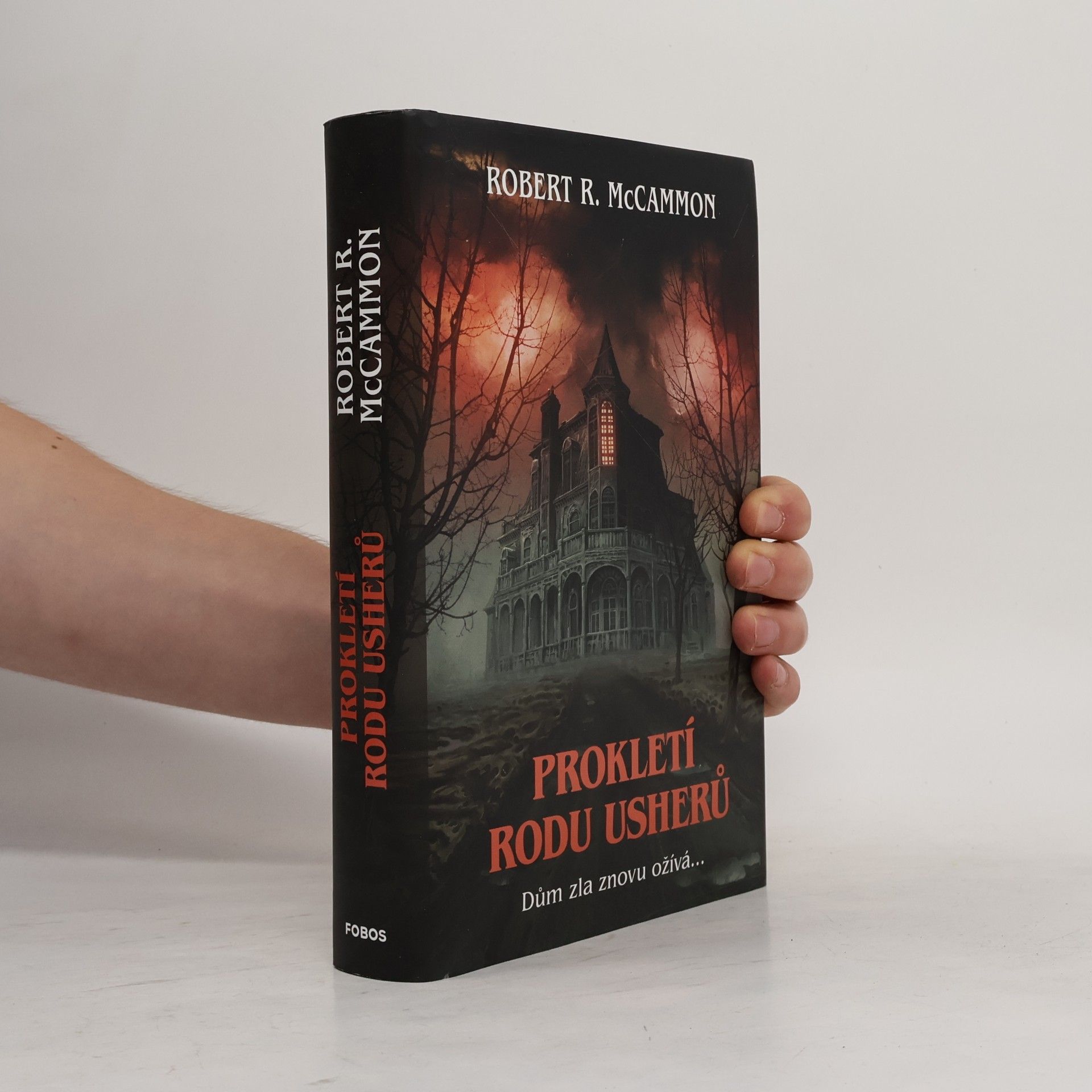 Robert McCammon Prokletí rodu Usherů
