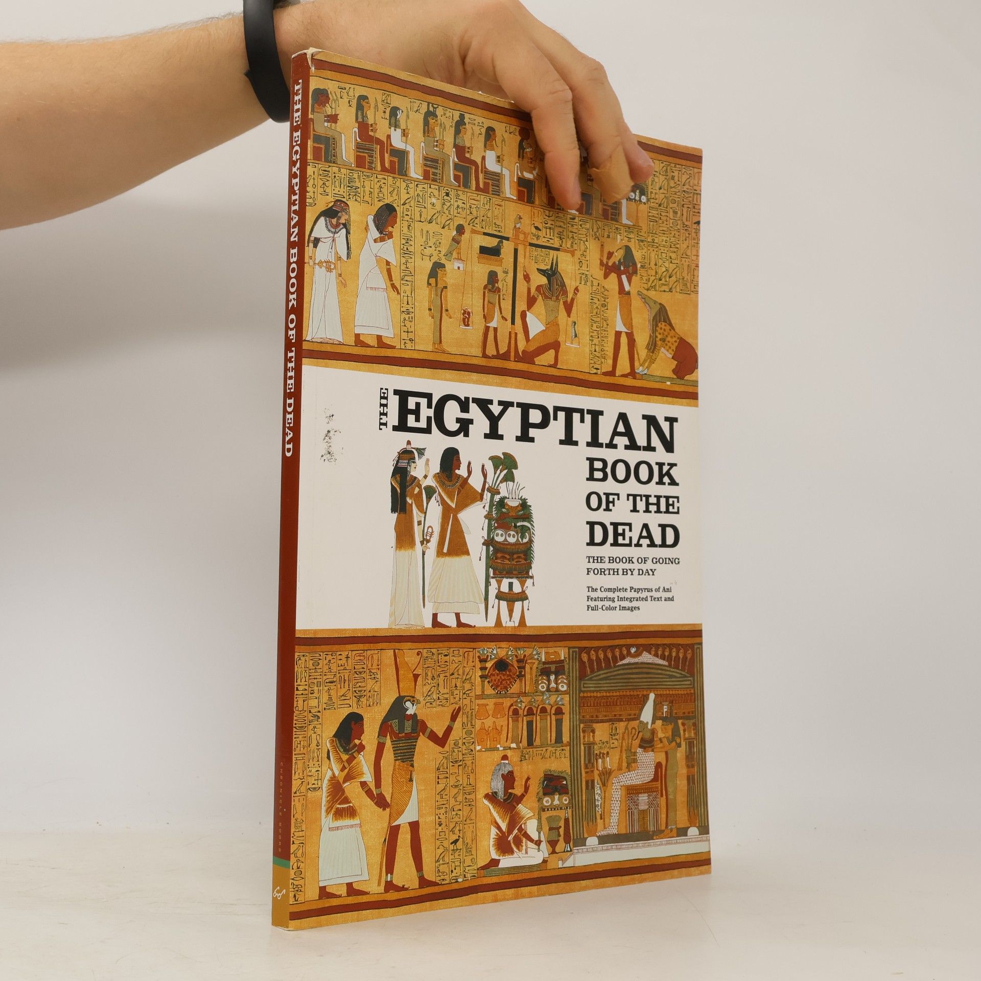 AA.VV. The Egyptian book of the dead