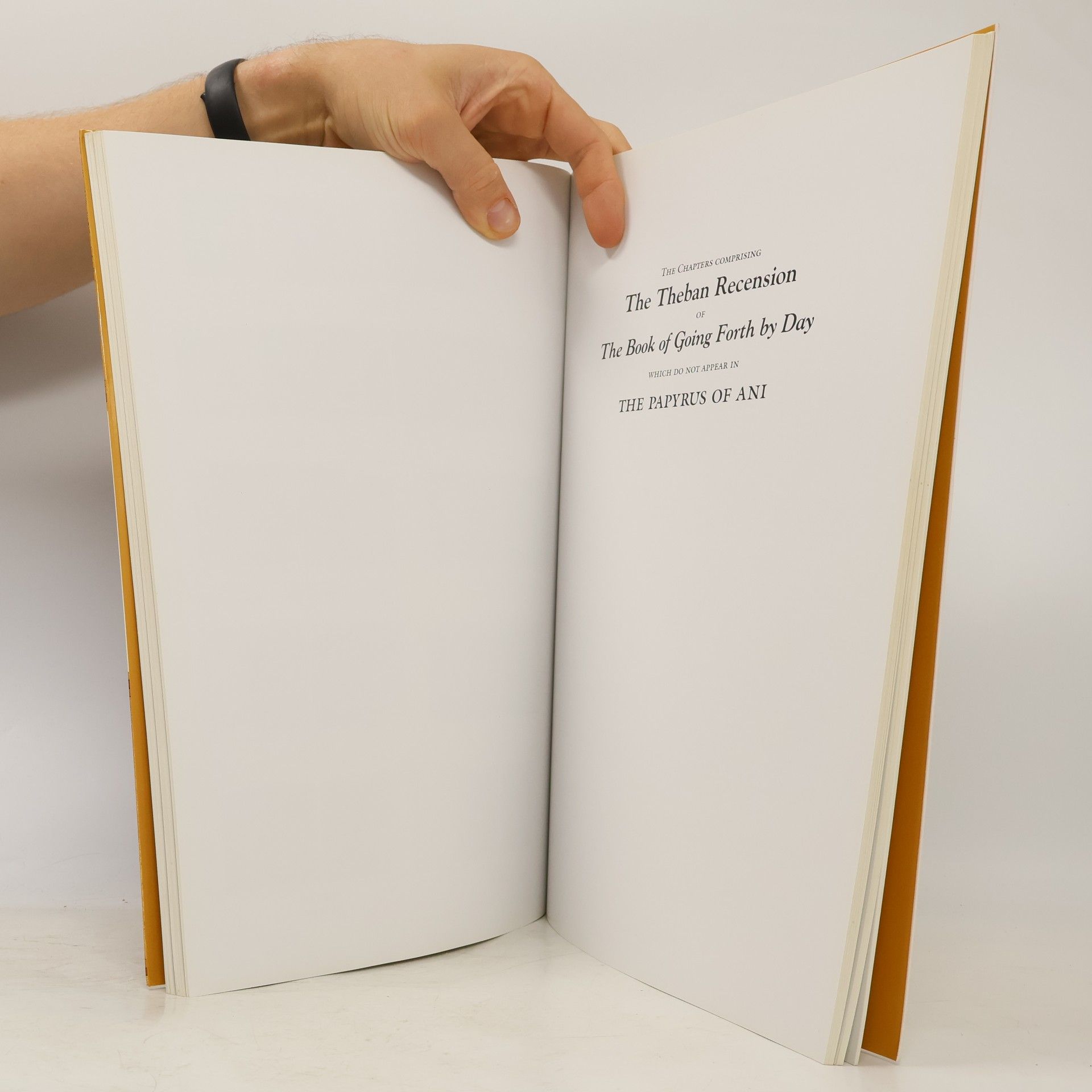 kolektiv The Egyptian book of the dead