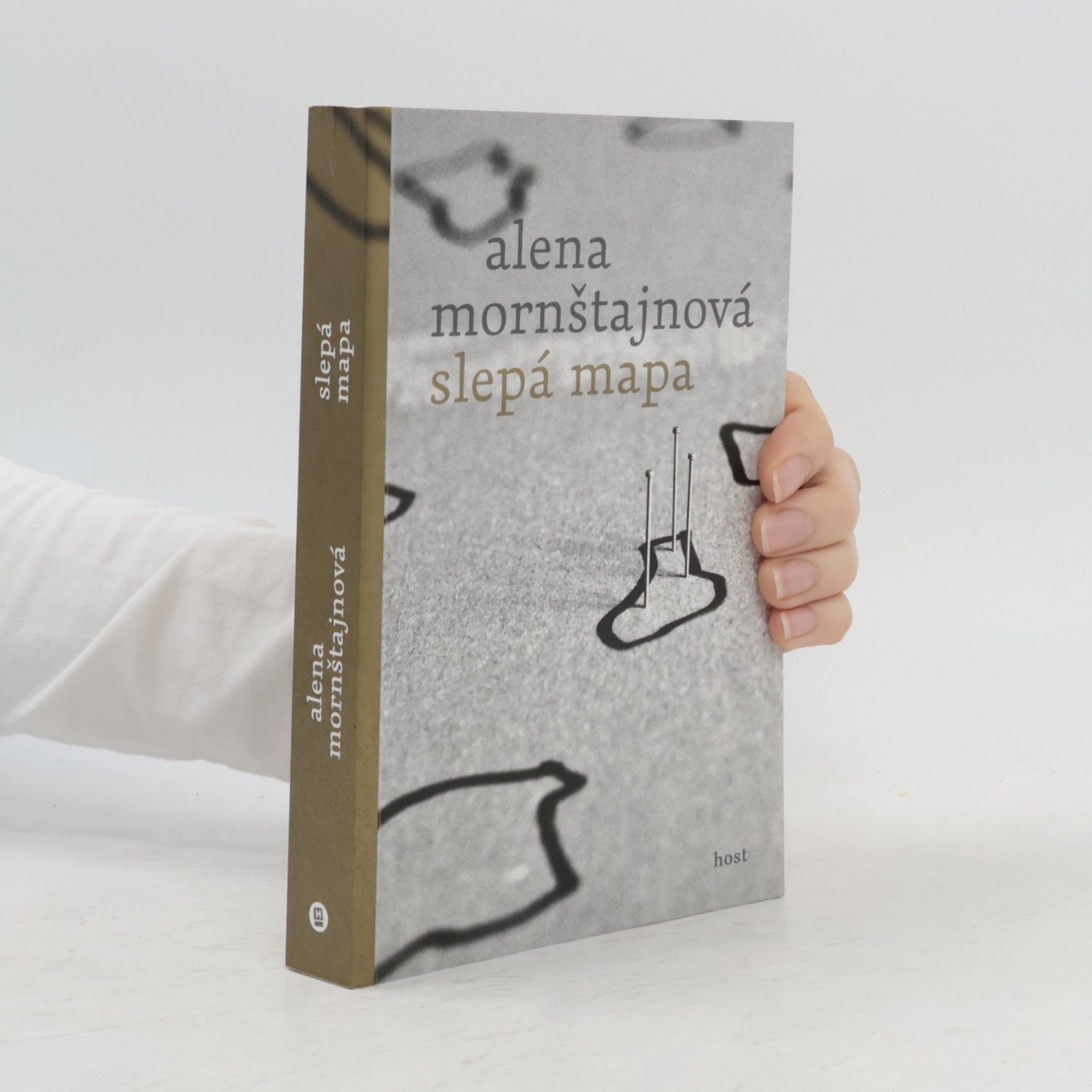 Alena Mornštajnová Slepá mapa