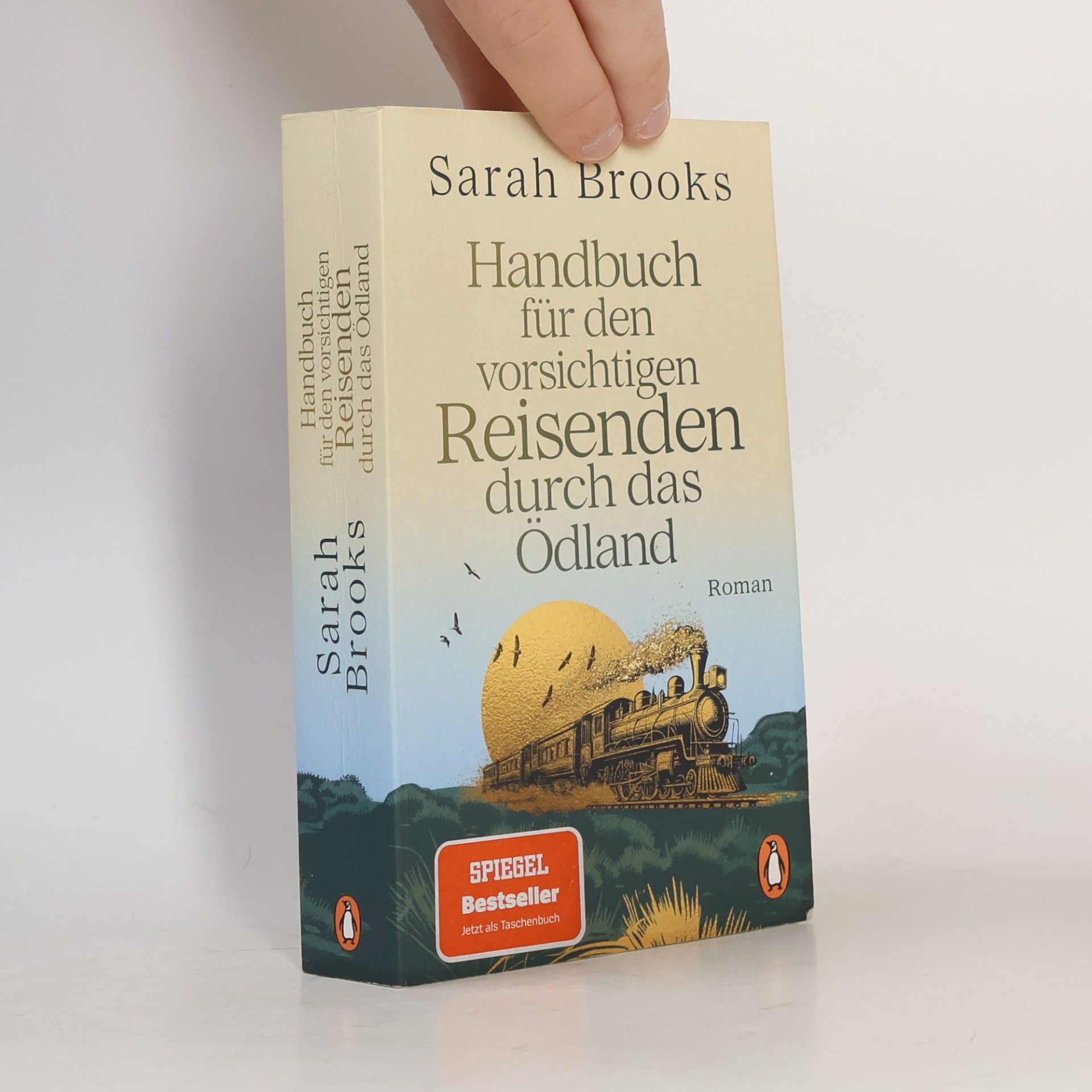 Brooks, Sarah Handbuch für den vorsichtigen Reisenden durch das Ödland: Roman - »Eine charmante Mischung aus fantastischem Abenteuer und Reiseliteratur des 19. Jh.s. Was für ein literarischer Ritt!« NDR Kultur