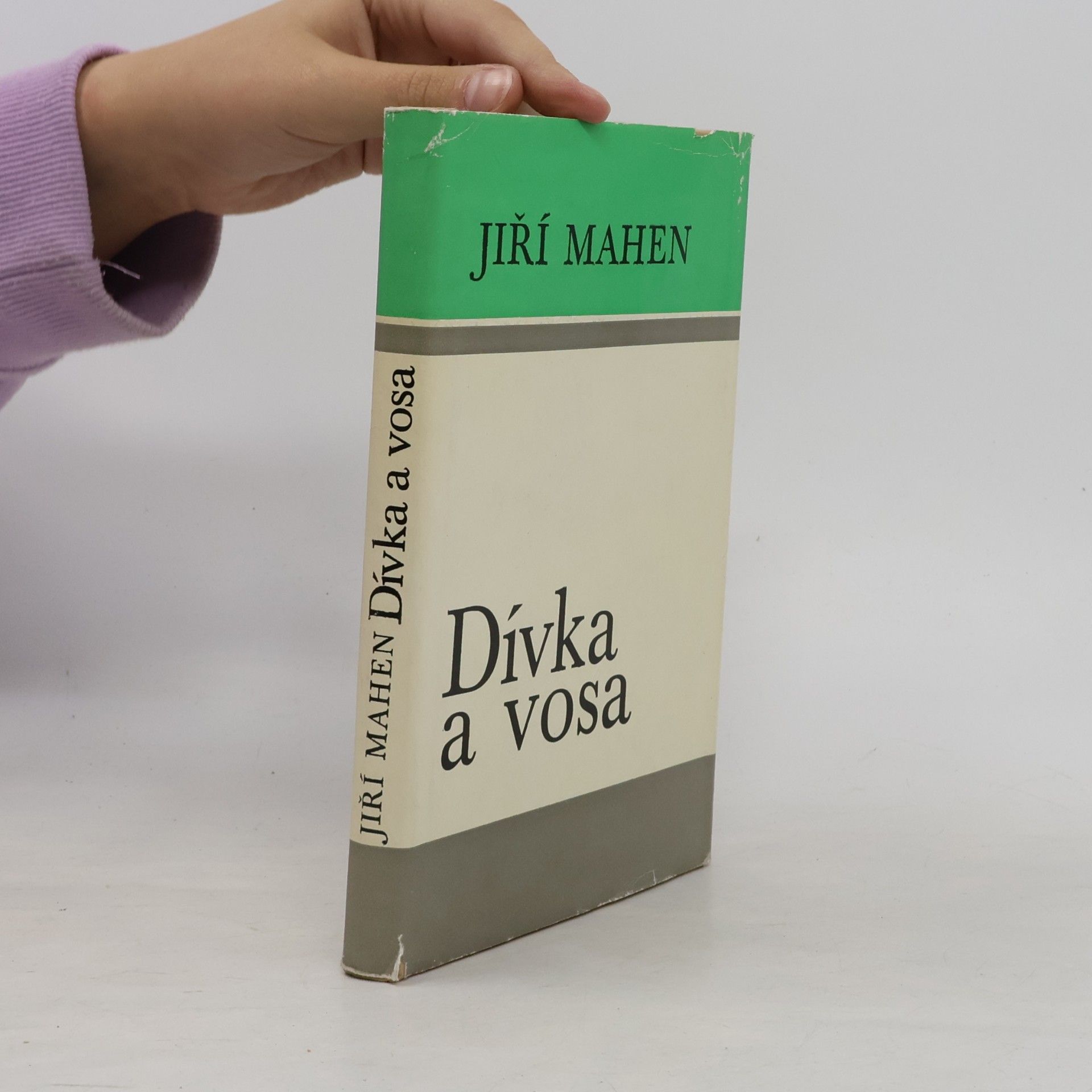 Dívka a vosa