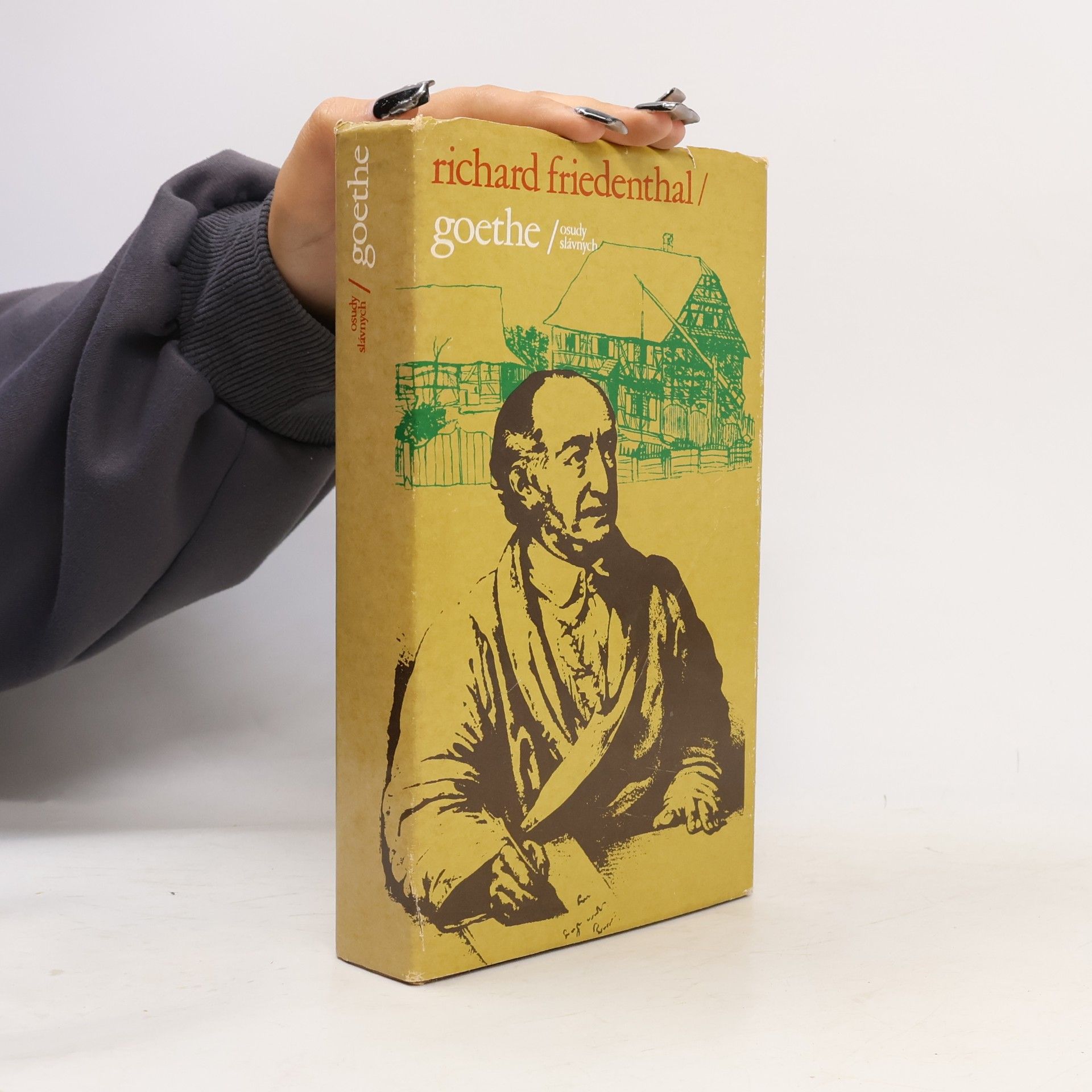 Goethe. Osudy slávnych