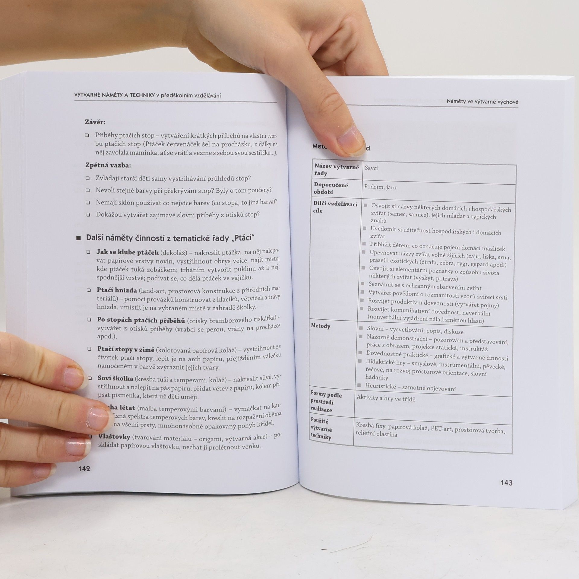 Žaneta Křížová Výtvarné náměty a techniky v předškolním vzdělávání