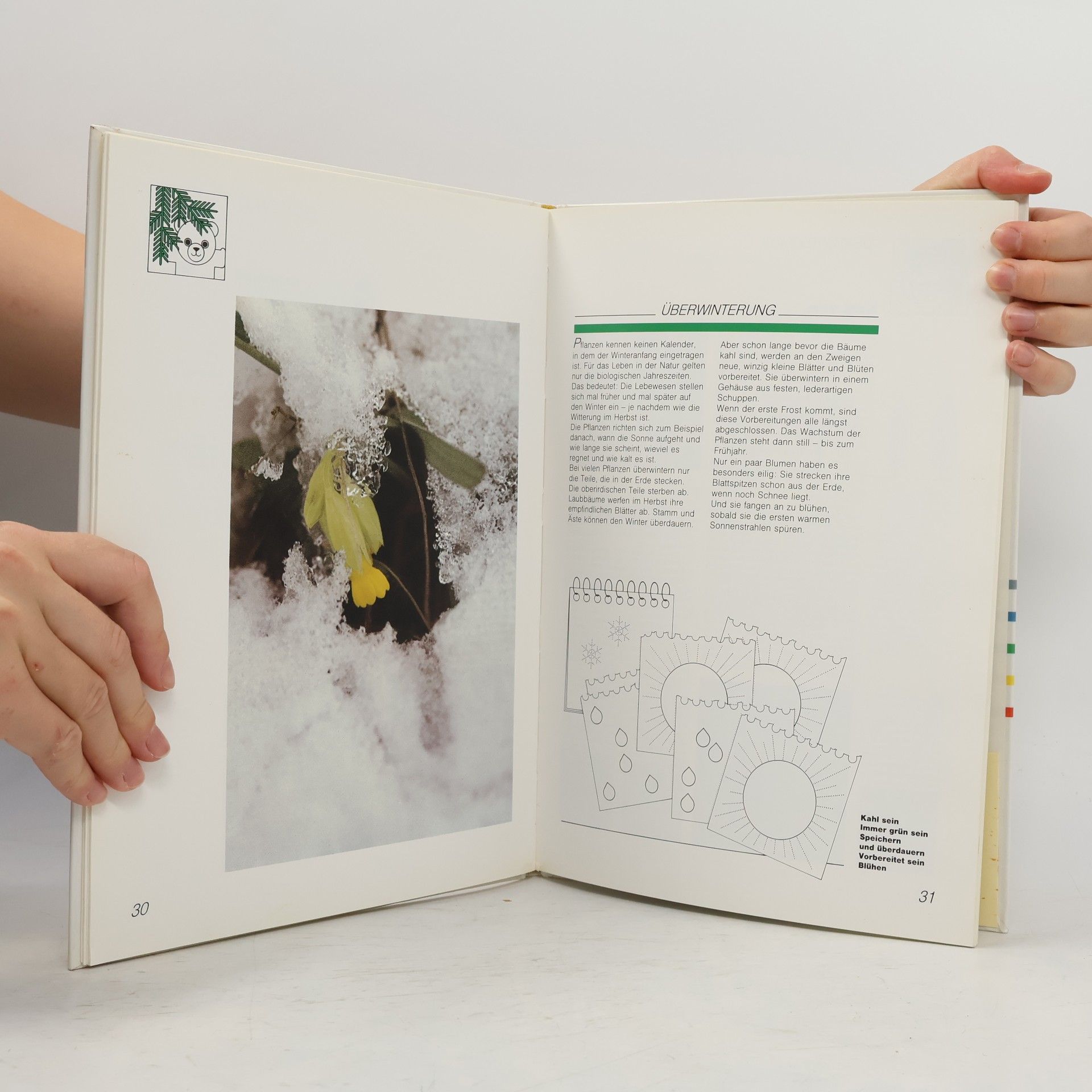 Friederike Naroska Mein Winterbuch