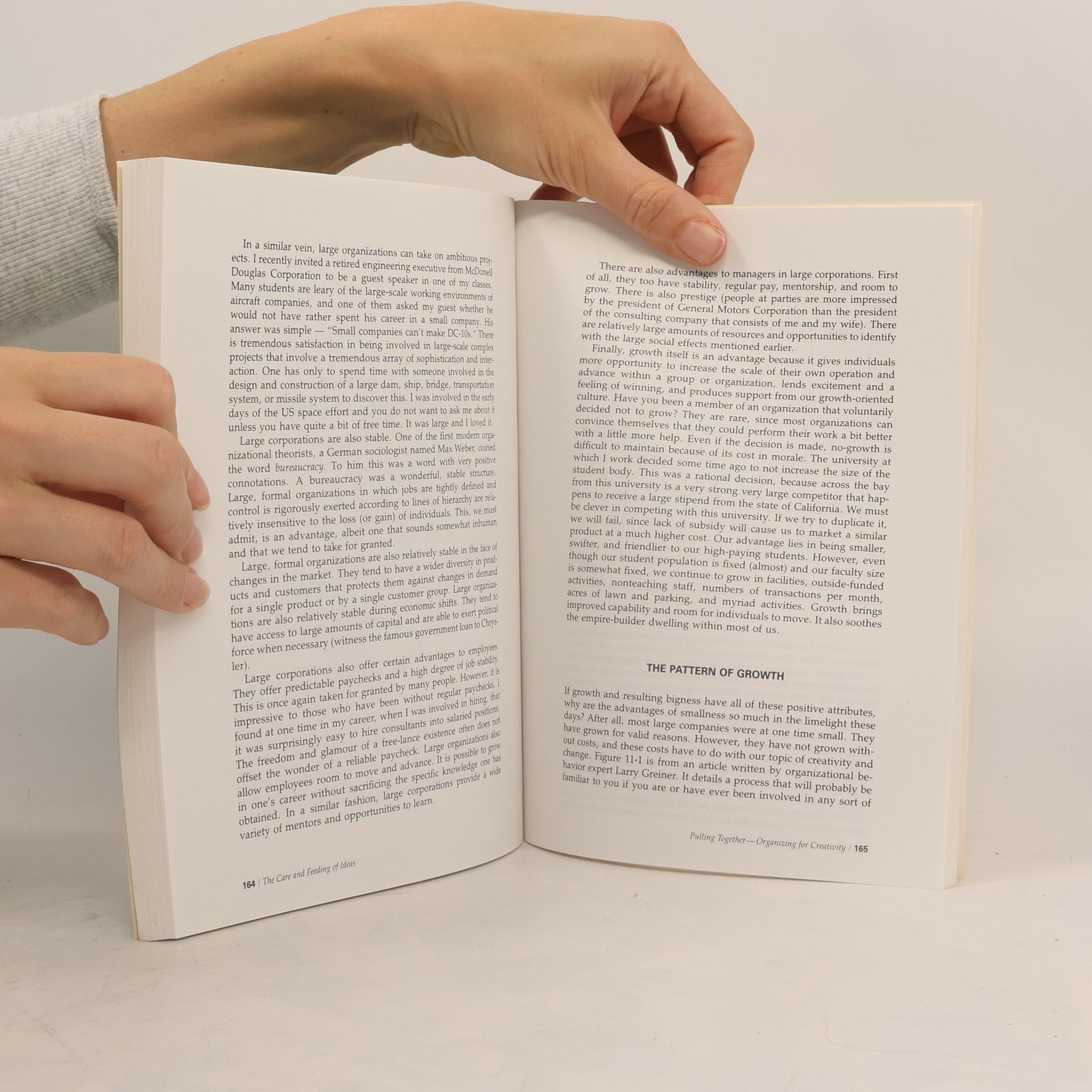 James L. Adams. The Care and Feeding of Ideas