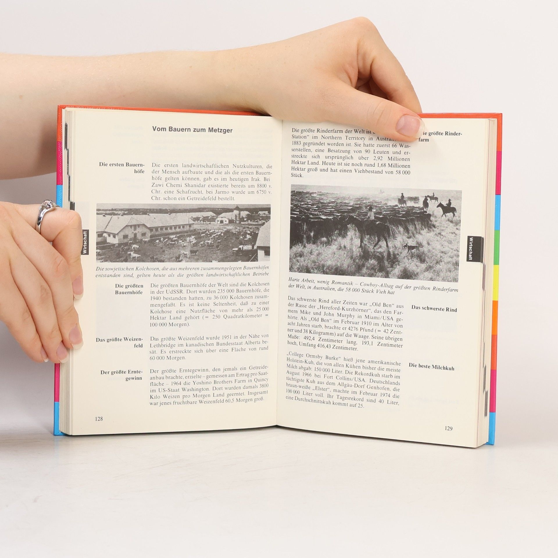 kolektiv Tatsachen: Schneiderbuch der Rekorde