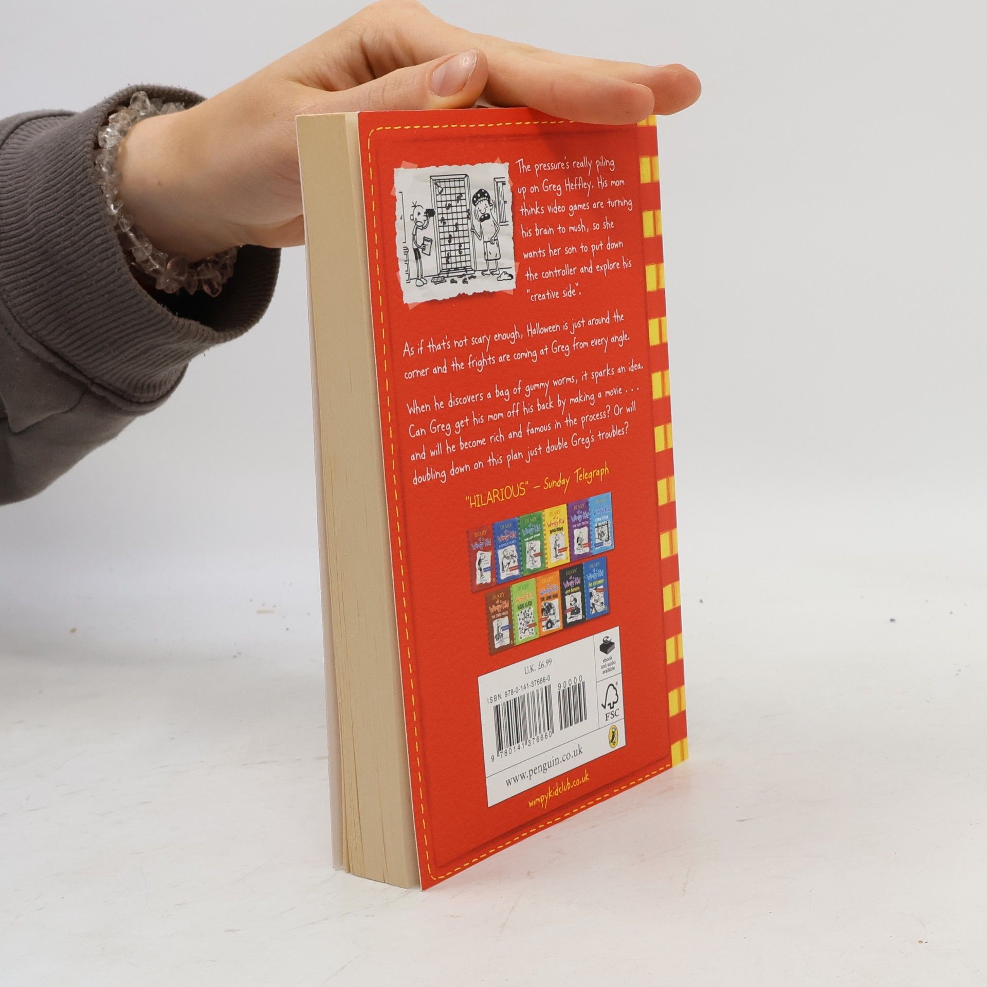 Jeff Kinney Diary of a Wimpy Kid. Double Down