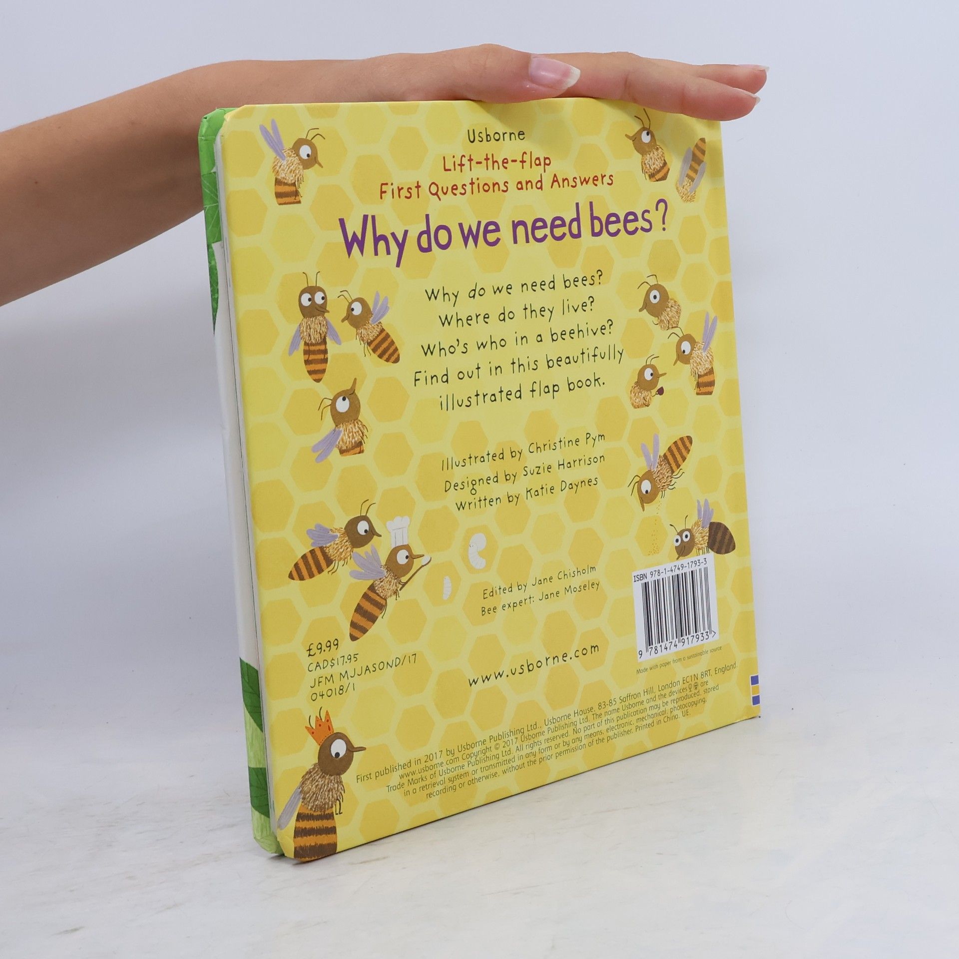 Katie Daynes Why Do We Need Bees?
