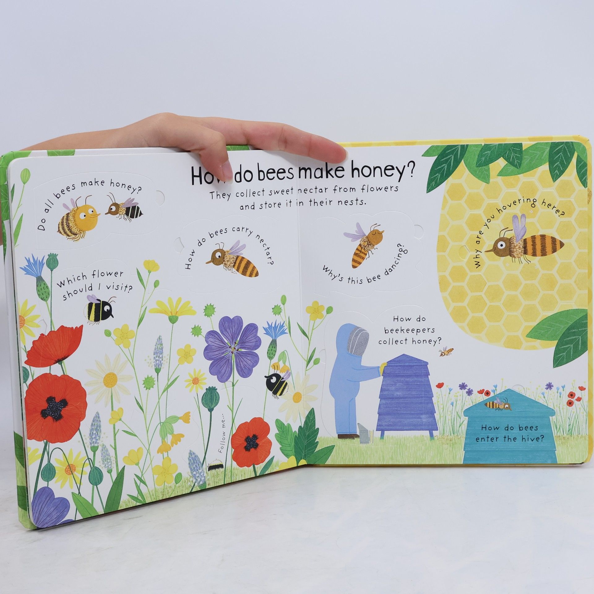Katie Daynes Why Do We Need Bees?