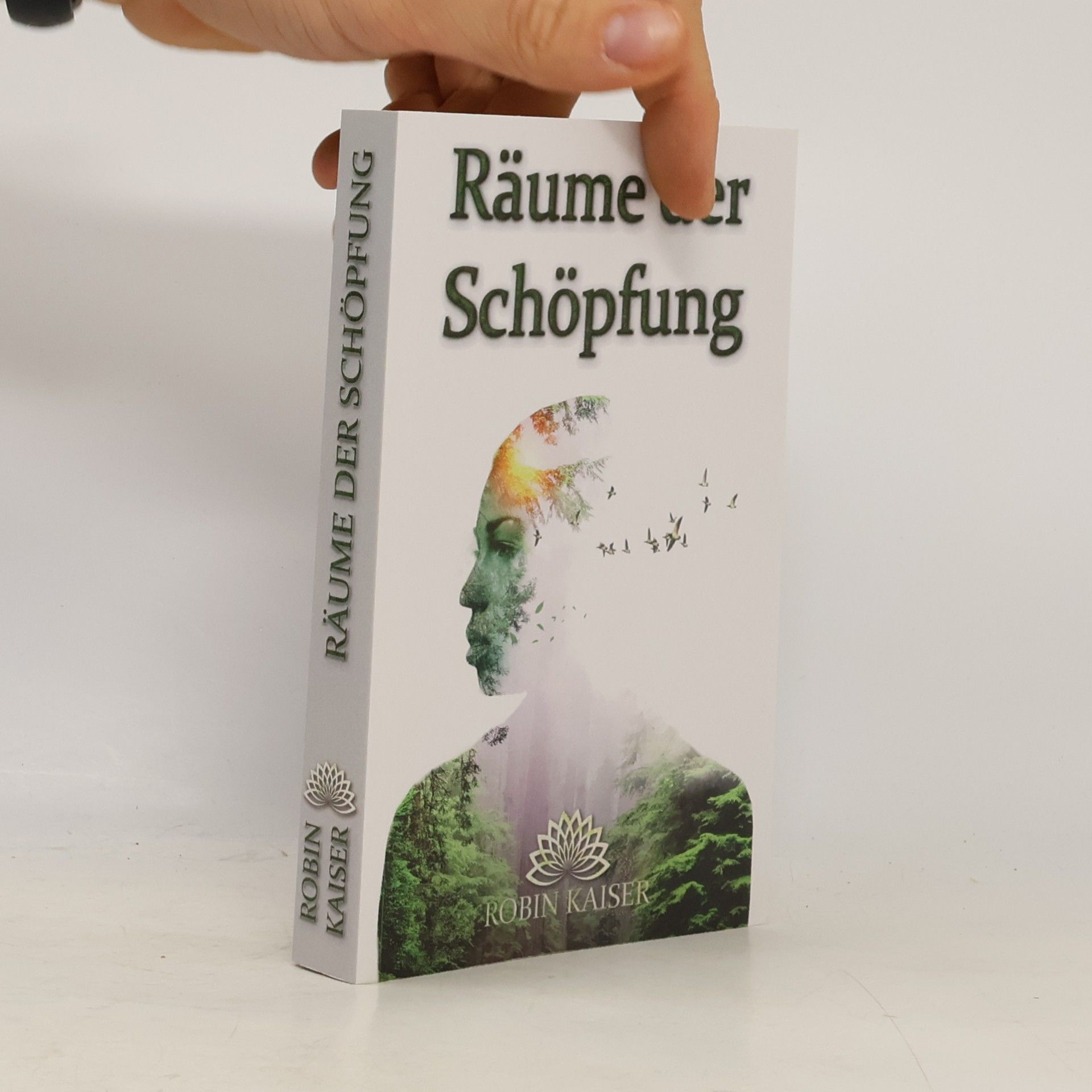 Robin Kaiser Räume der Schöpfung. Dein kosmisches Reisehandbuch
