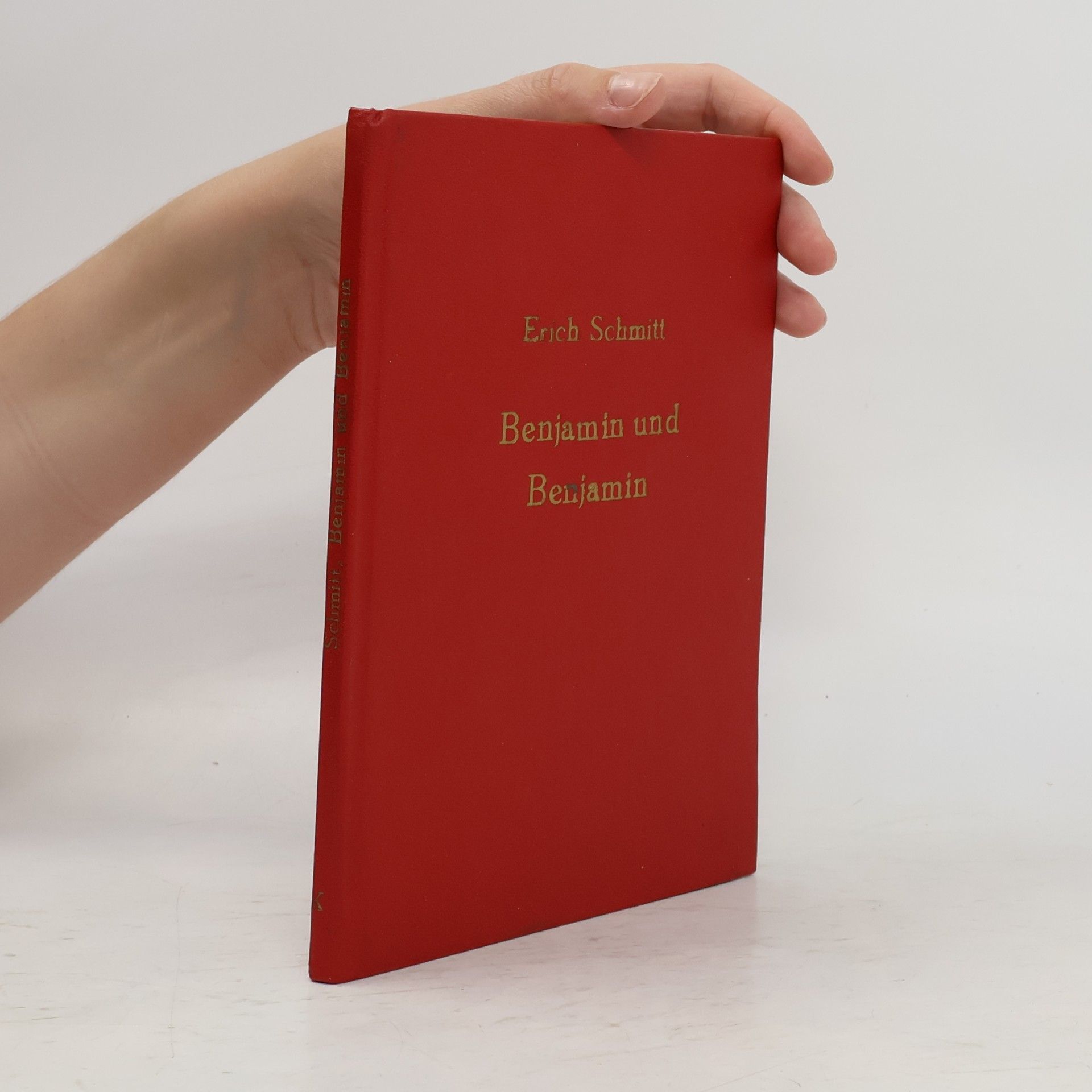 Erich Schmitt Benjamin und Benjamin