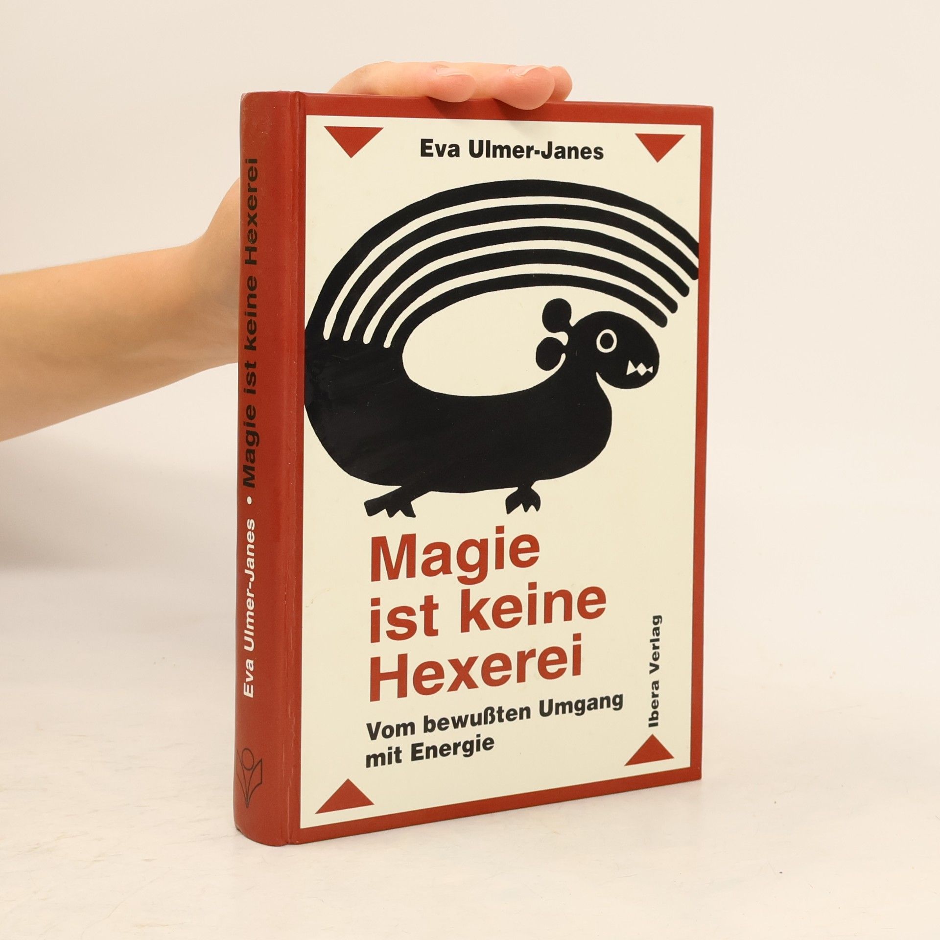 Eva Ulmer Janes Magie ist keine Hexerei