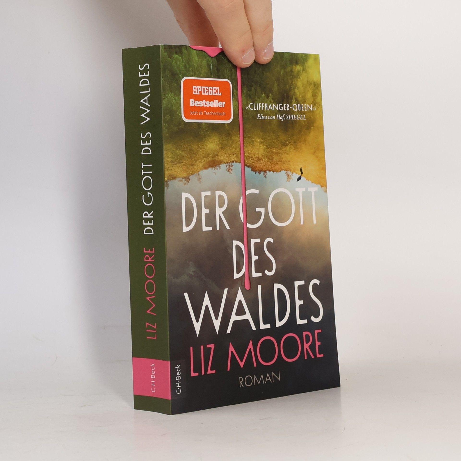 Liz Moore Der Gott des Waldes: Roman | New York Times-Bestseller