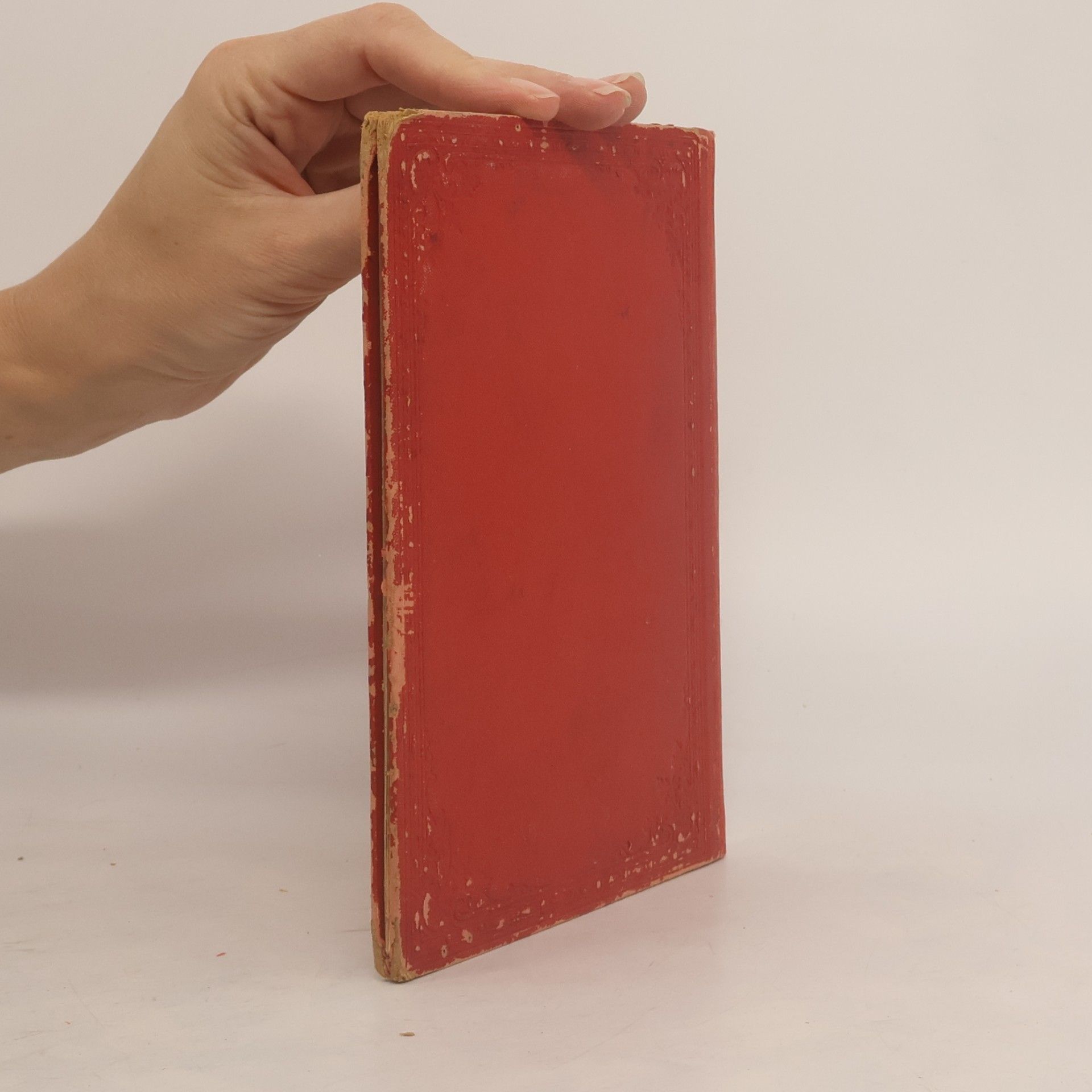 kolektiv Album von München