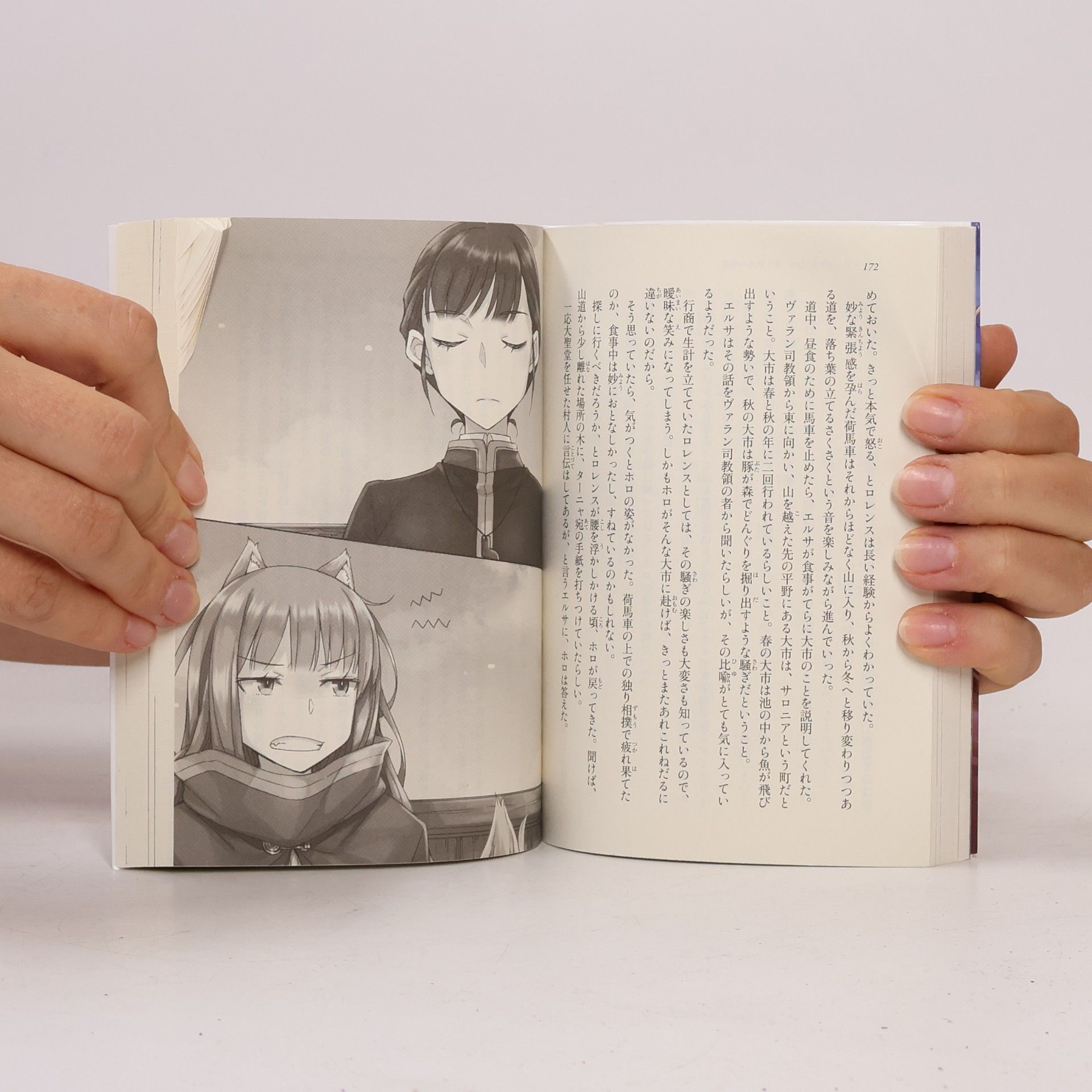 Isuna Hasekura 狼と香辛料XXII Spring LogV