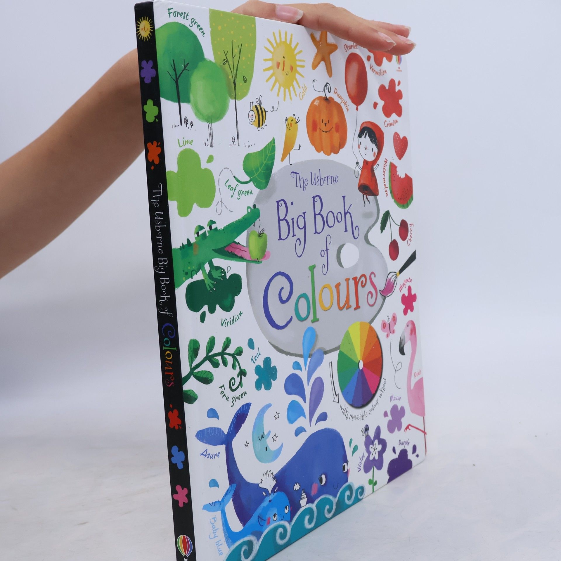 Felicity Brooks The Usborne big book of colours