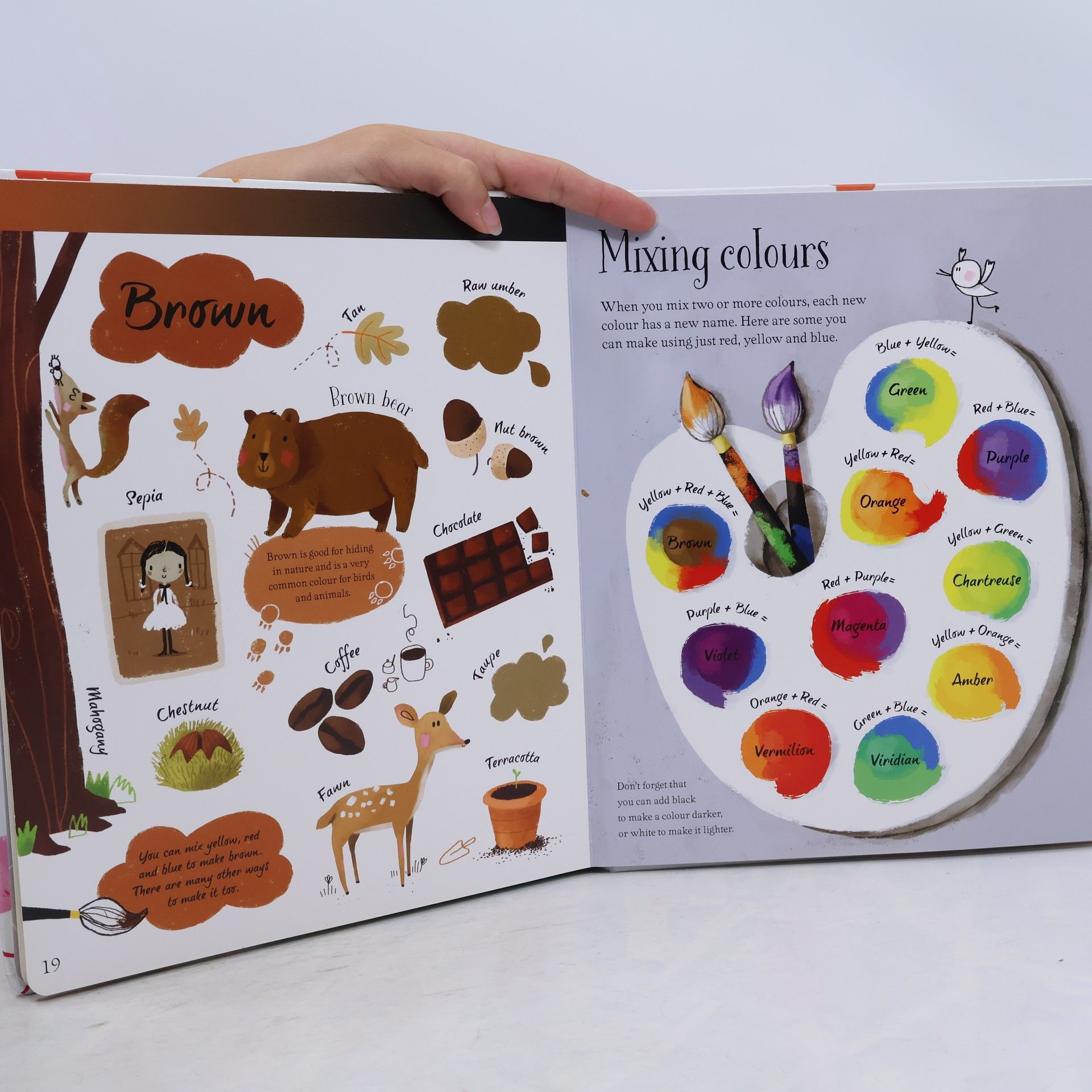 Felicity Brooks The Usborne big book of colours
