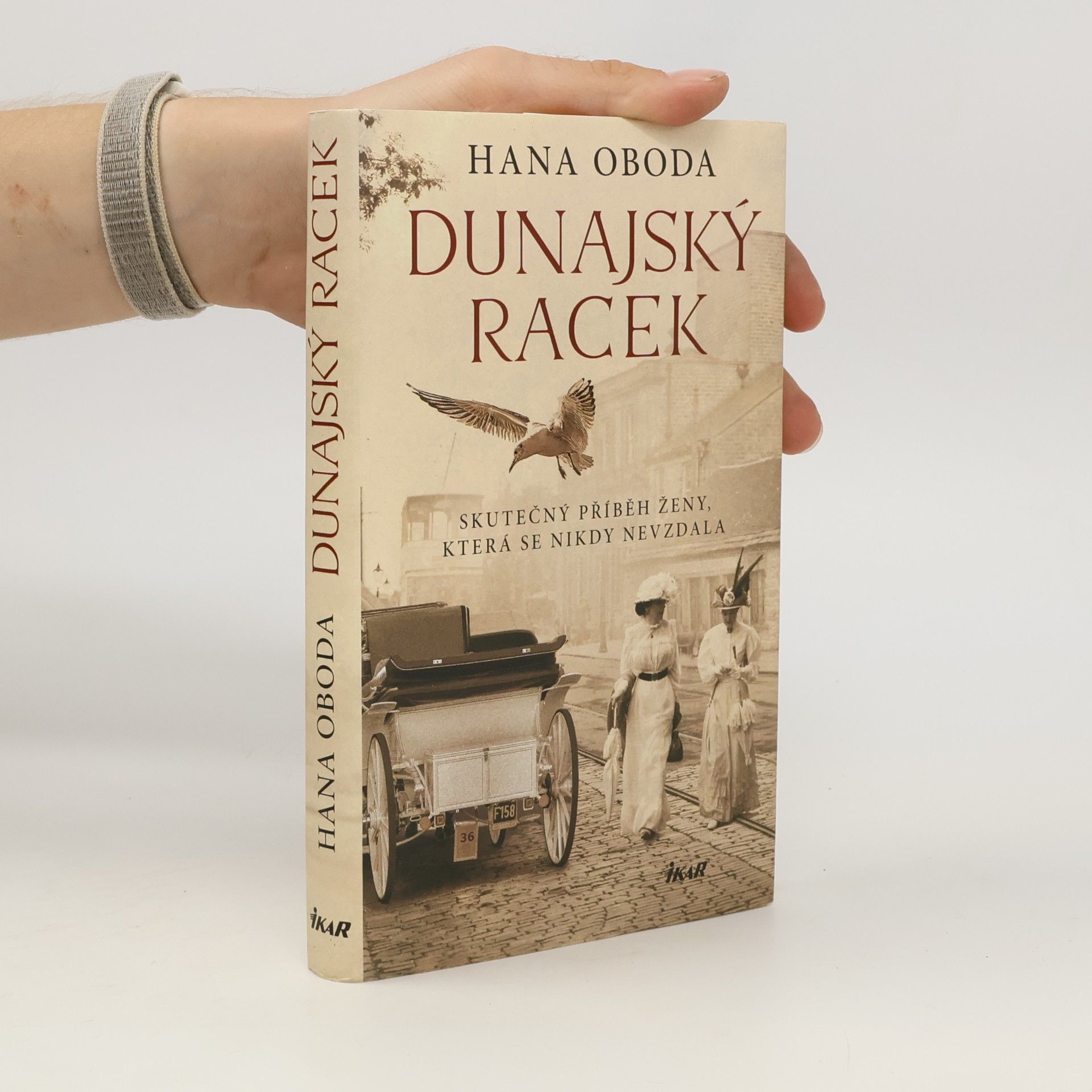 Hana Kolaříková Dunajský racek
