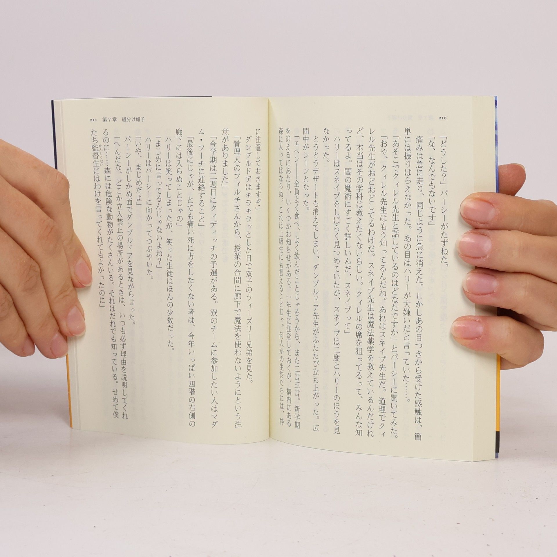 Joanne K. Rowlingová ハリー・ポッターと賢者の石