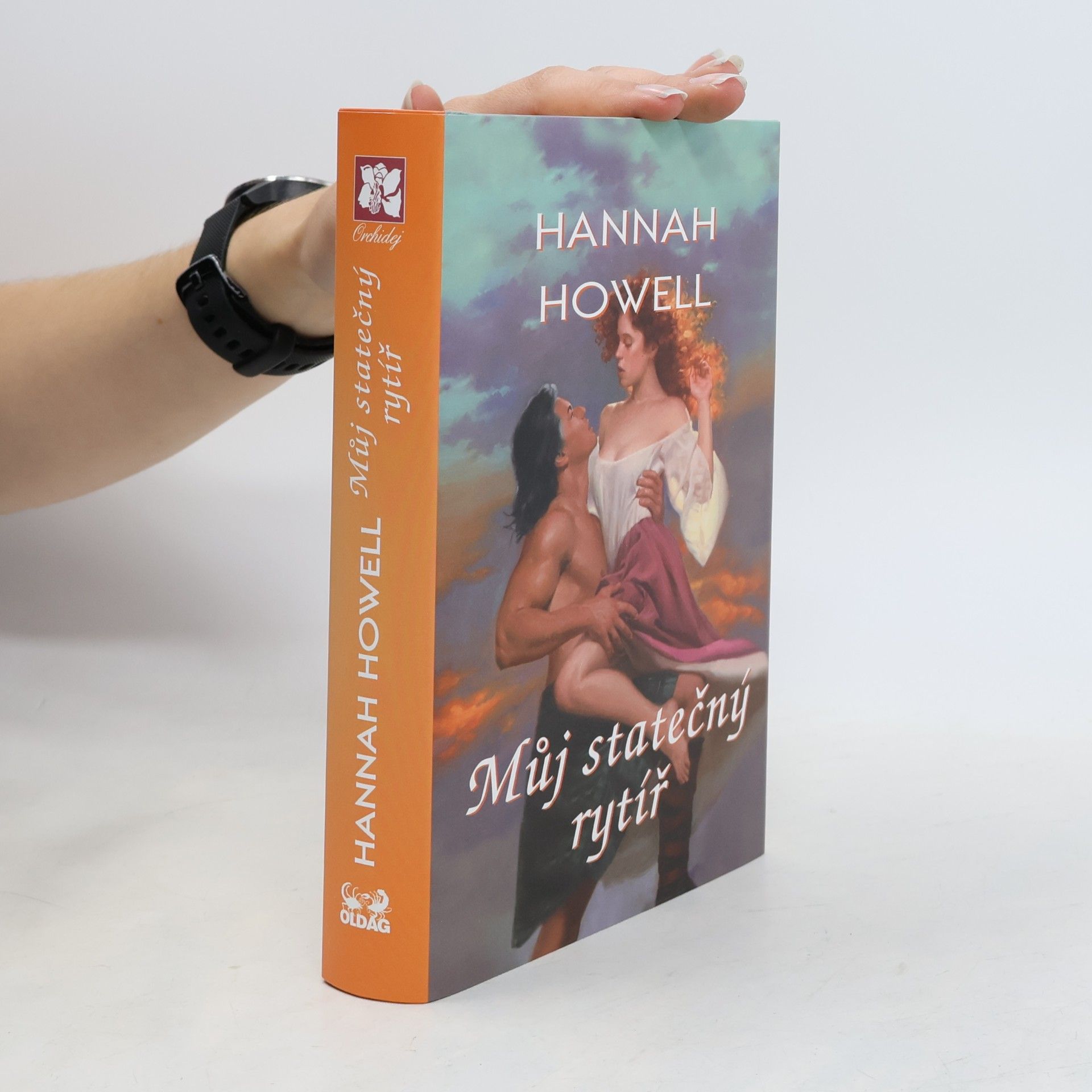 Hannah Howell Můj statečný rytíř